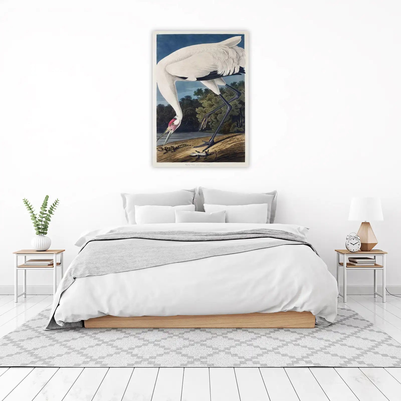 Whooping Crane & Alligators Audubon Wall Art