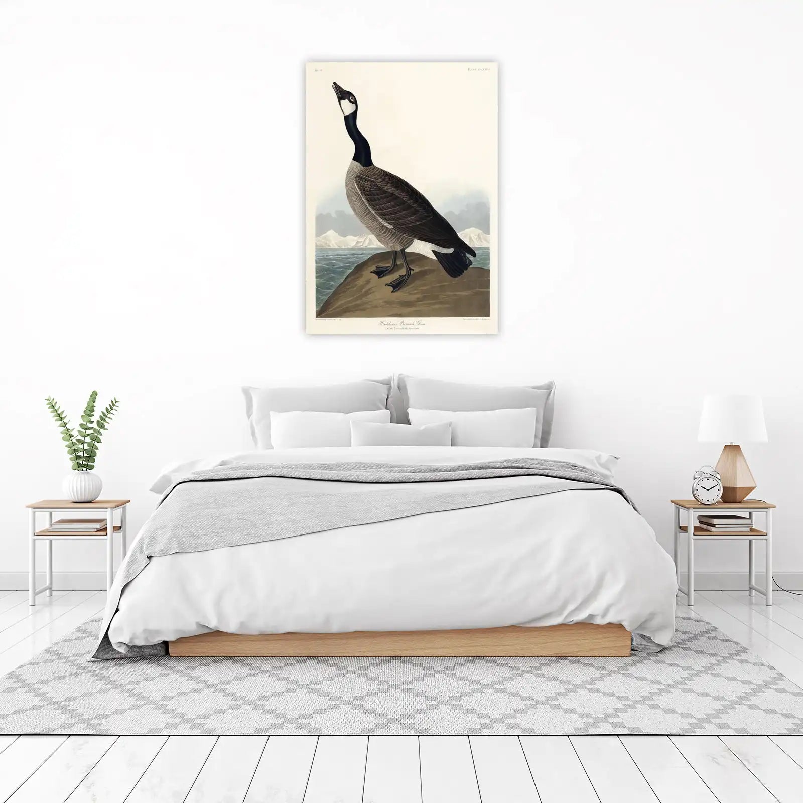 Hutchins' Barnacle Goose Vintage Ornithology Wall Art