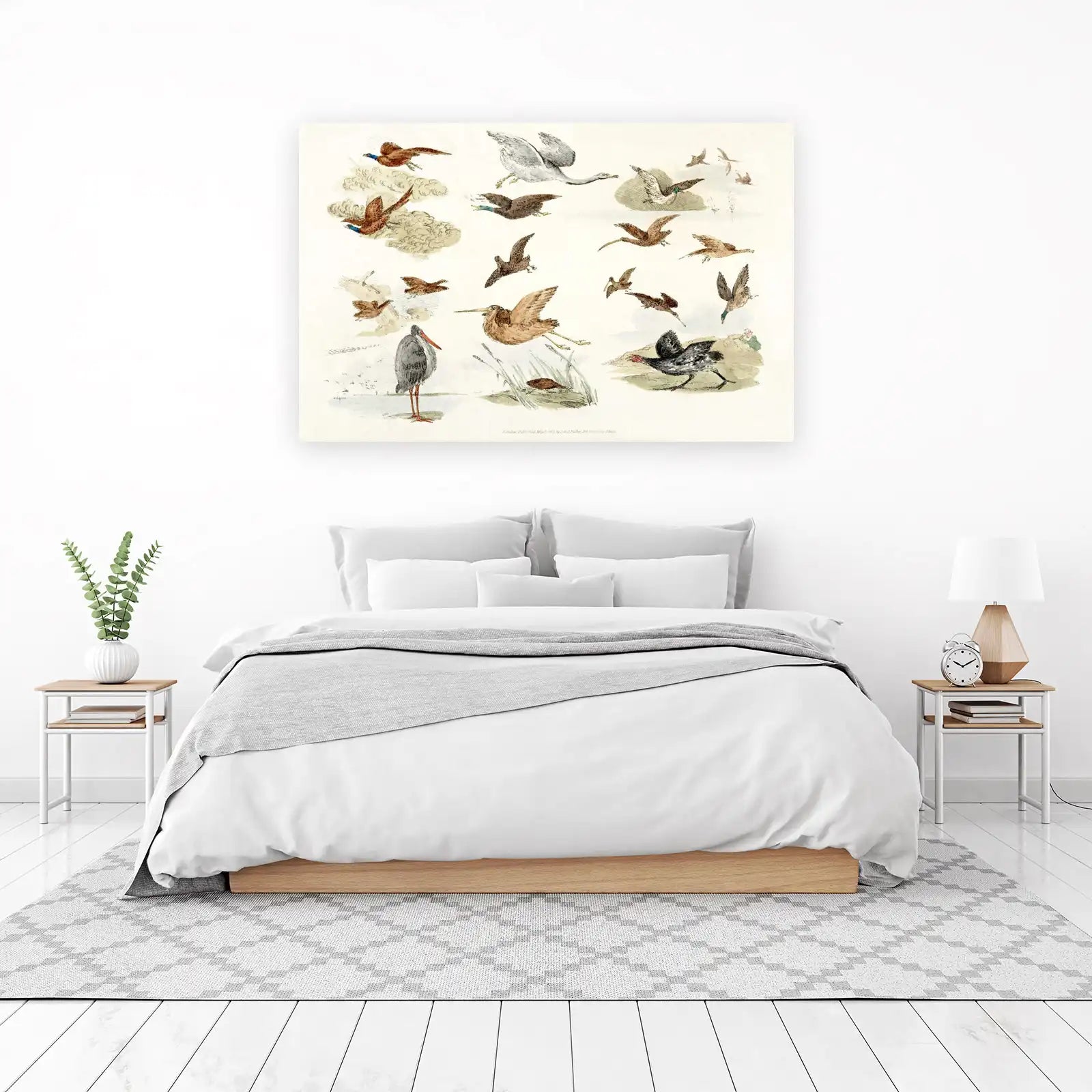 Vintage Avian Collection Wall Art