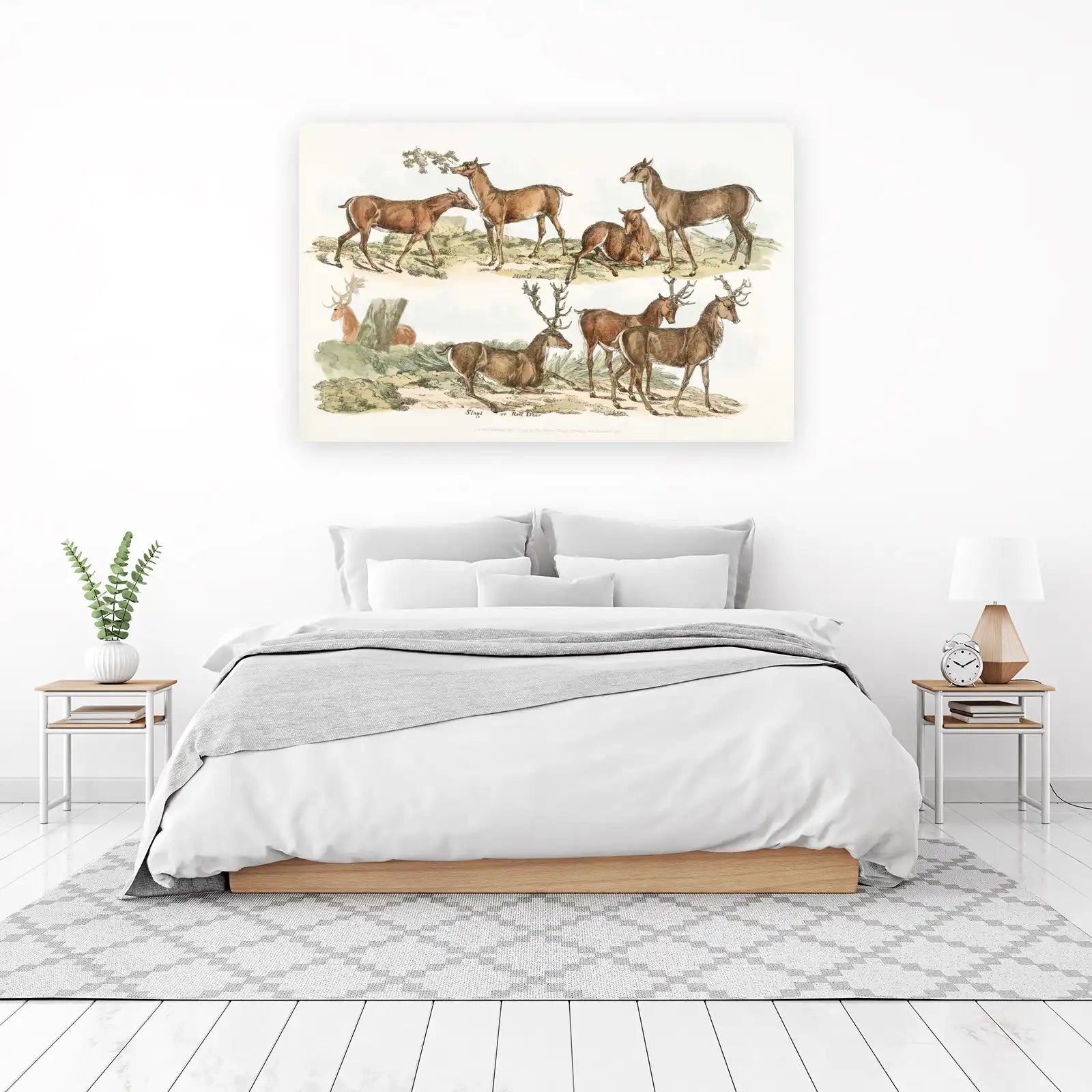 Vintage Stag & Hind Deer Art Wall Art