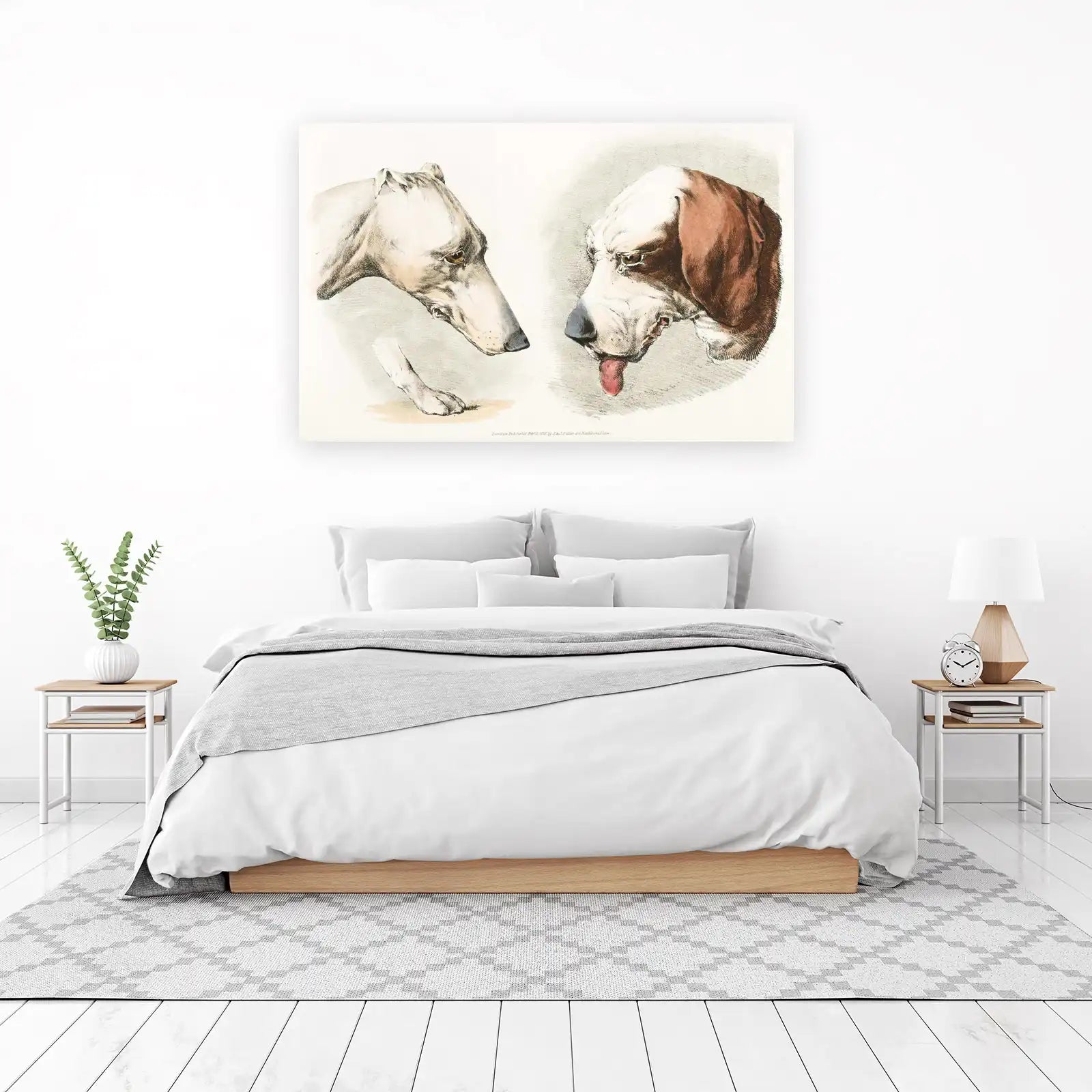 Vintage Dog Portraits: Greyhound & Hound Wall Art
