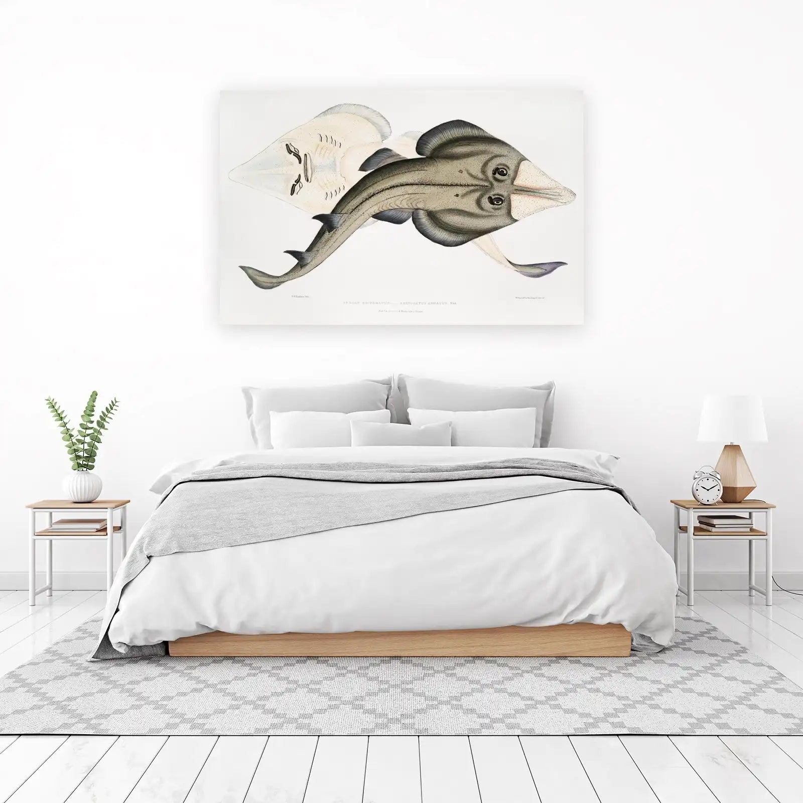 Vintage Indian Guitarfish Wall Art