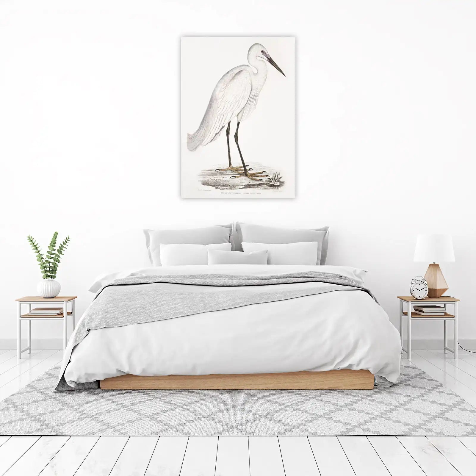 Elegant Indian White Heron Vintage Bird Art Wall Art