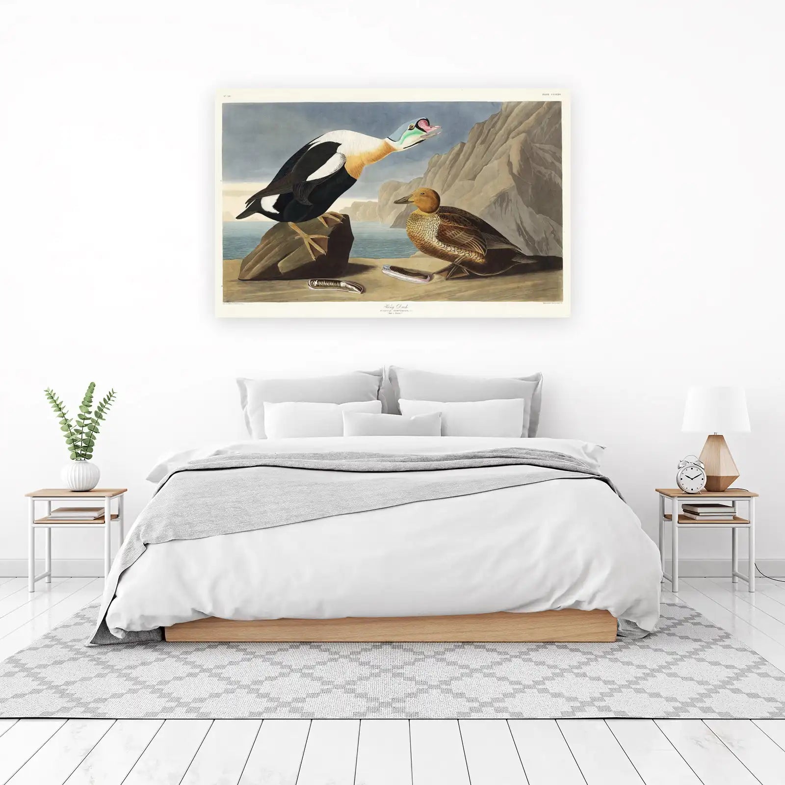 King Duck Vintage Bird Art Wall Art