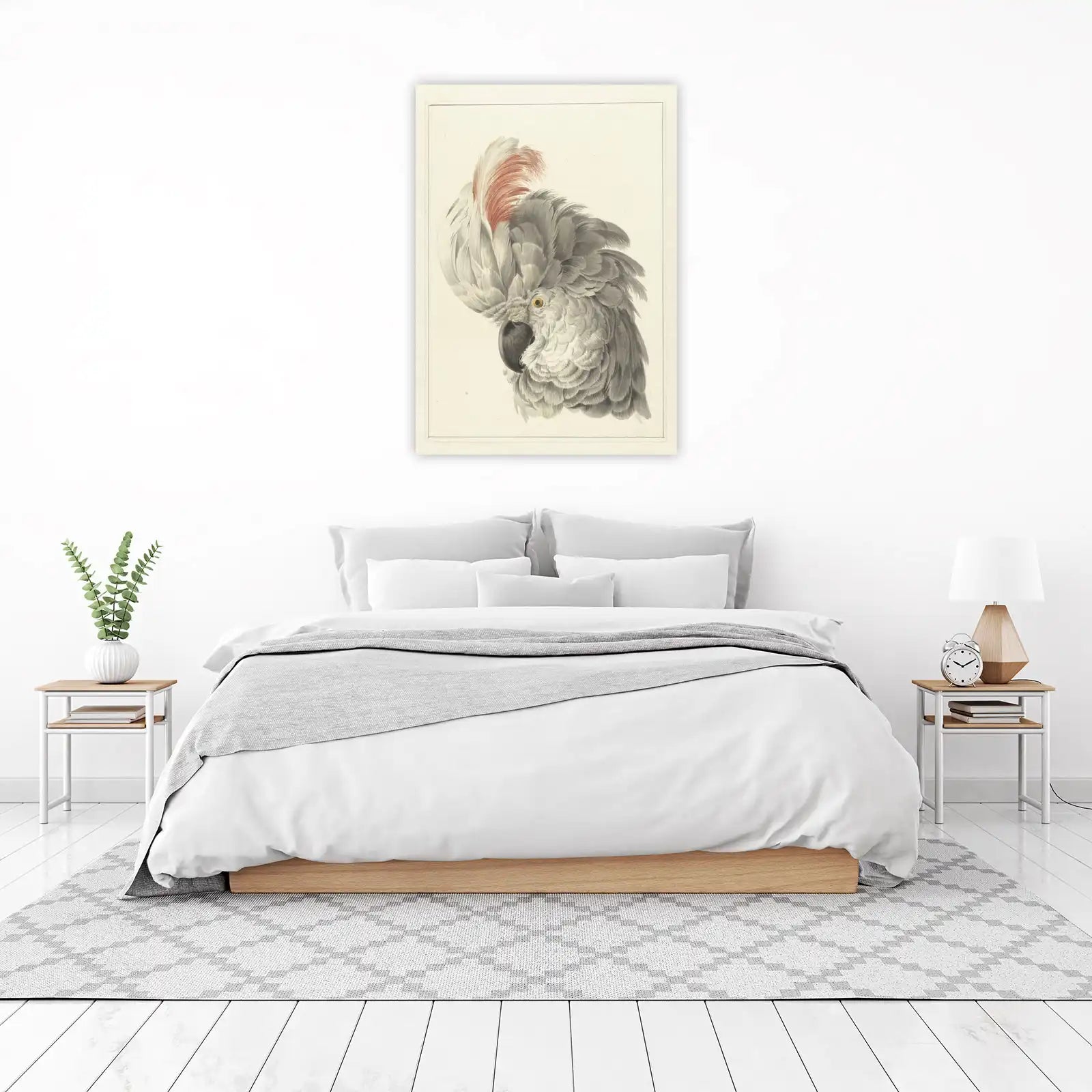Elegant Cockatoo Portrait Fine Art Wall Art