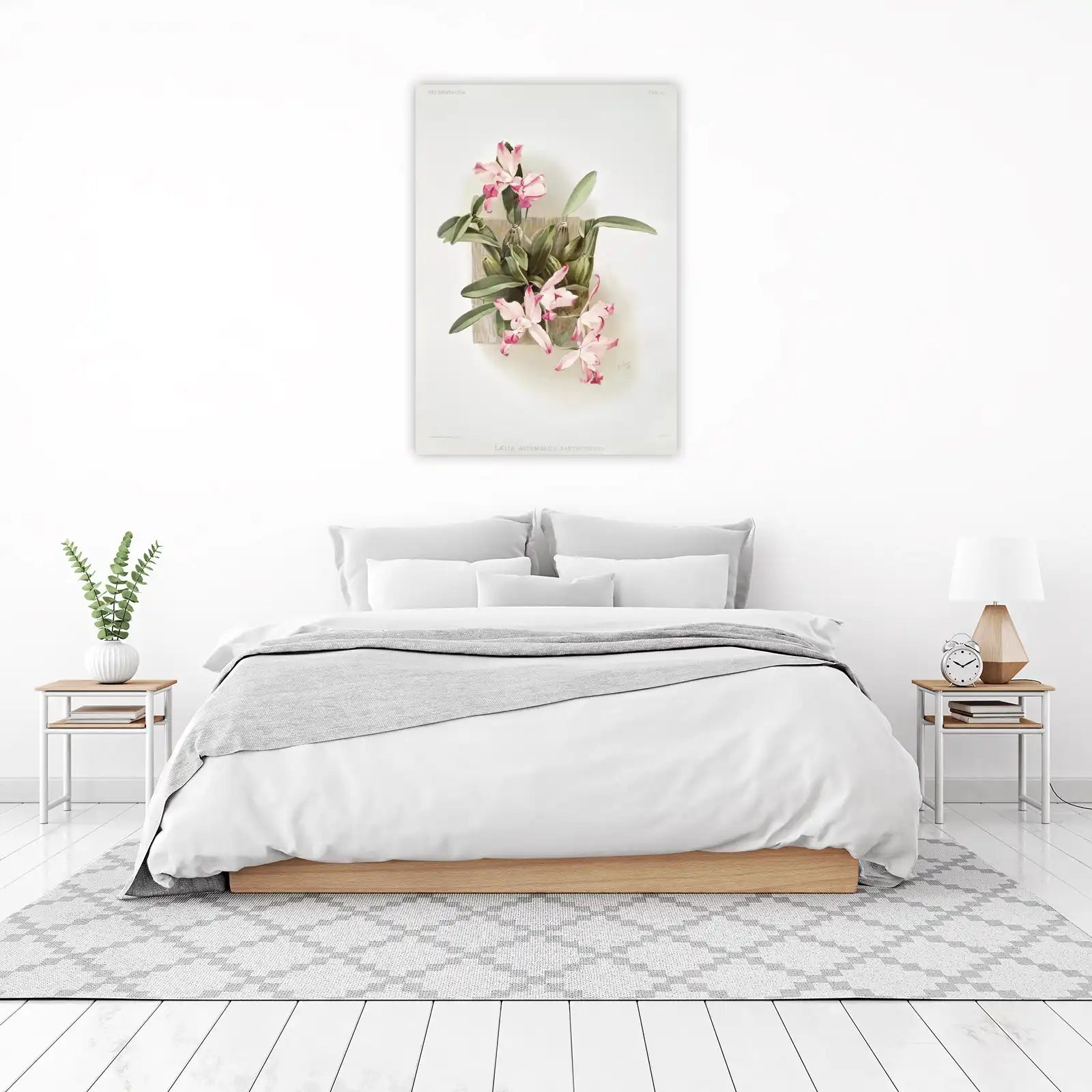 Vintage Pink Orchid Botanical Art Wall Art