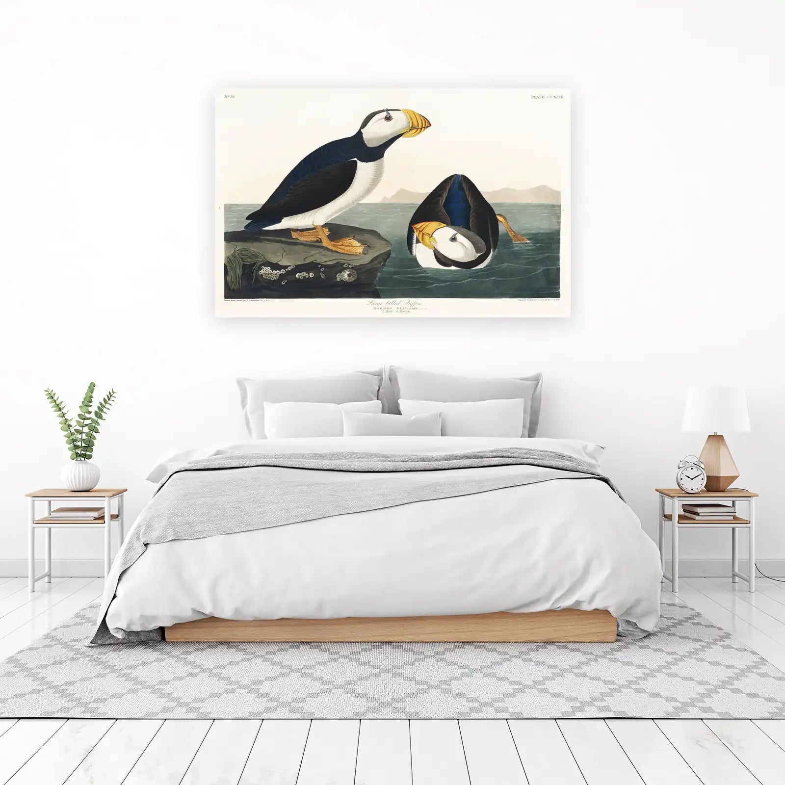 Vintage Puffin Bird Art Wall Art
