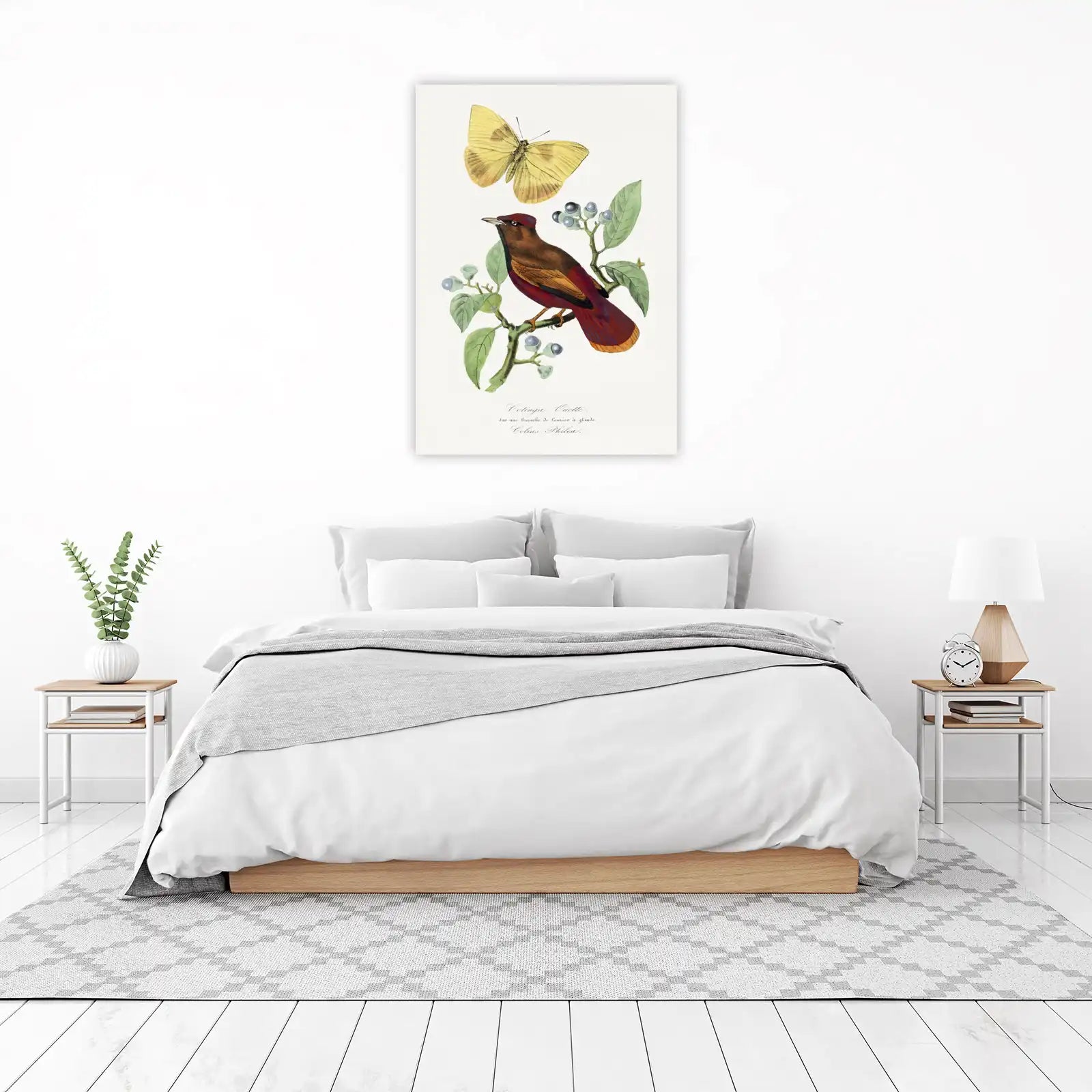 Vintage Bird and Butterfly Botanical Wall Art