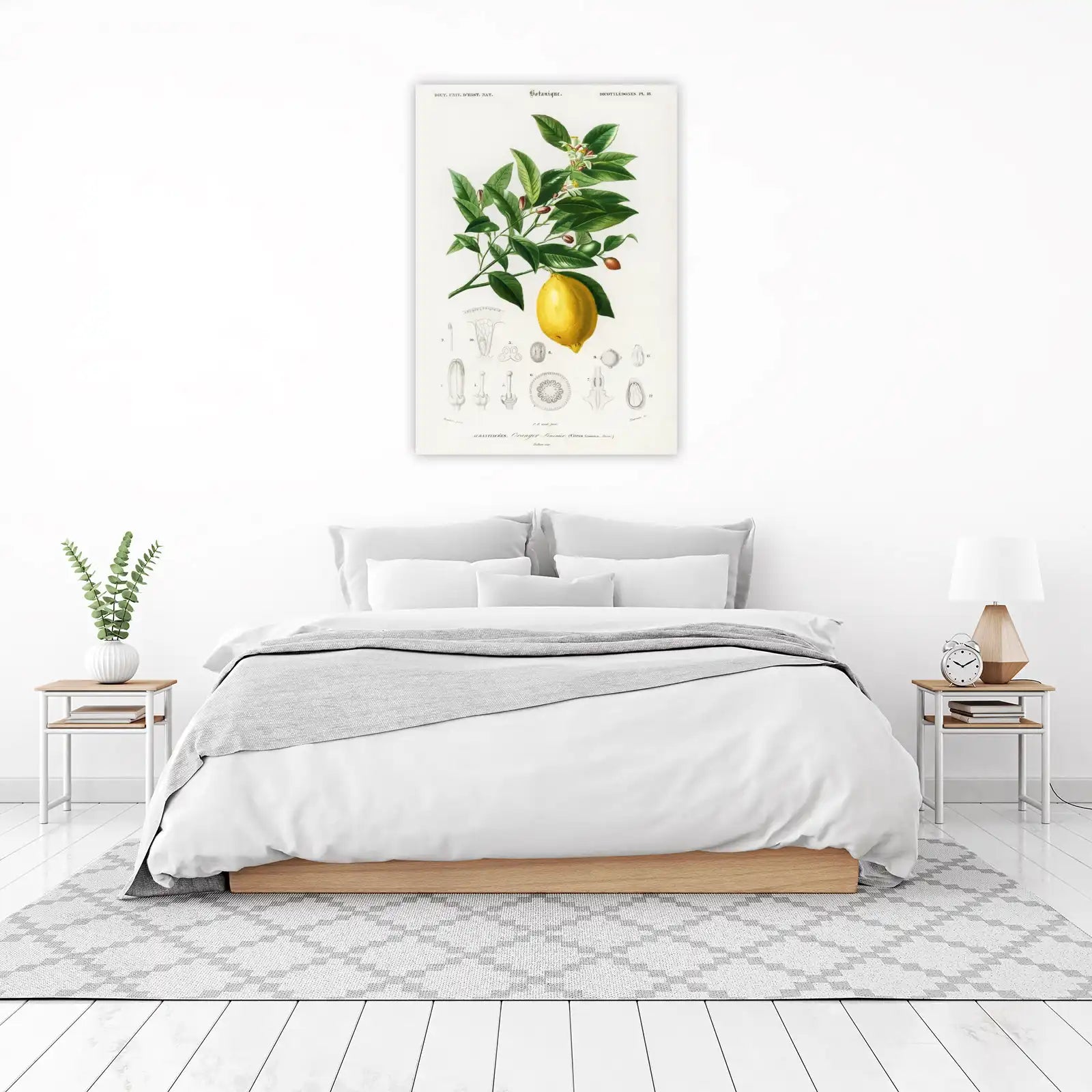 Vintage Lemon Botanical Art Wall Art