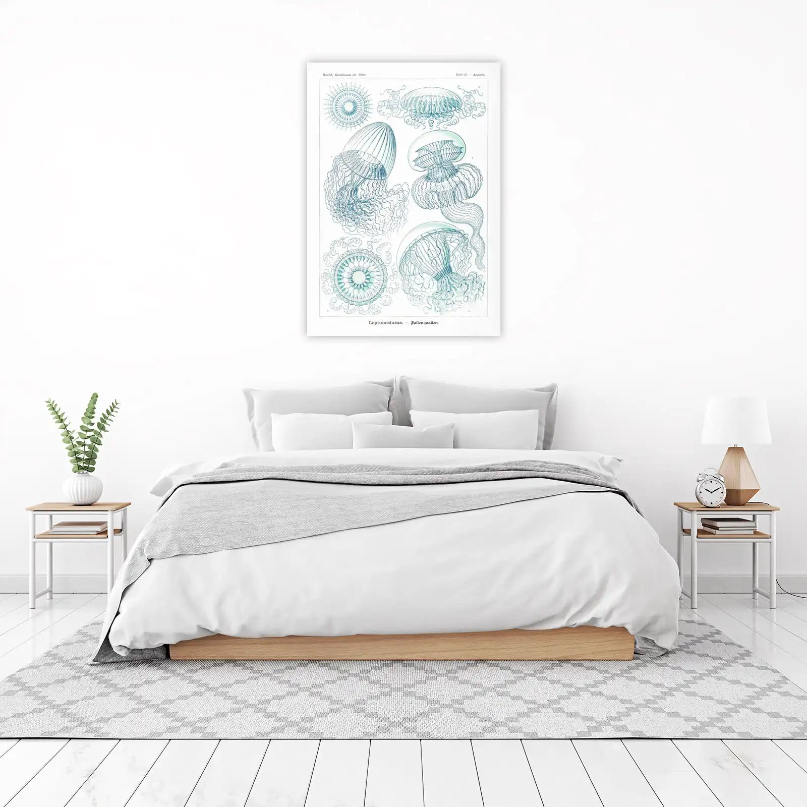 Vintage Jellyfish Scientific Illustration Wall Art