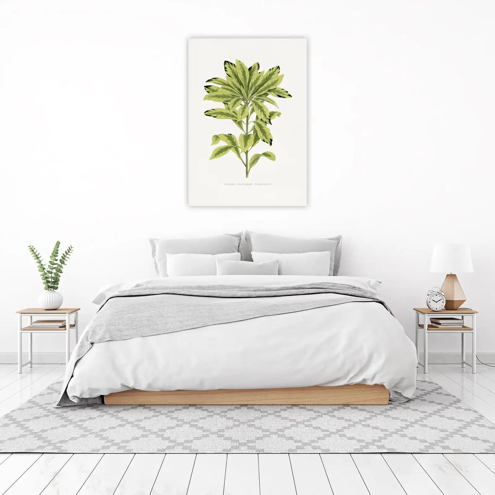 Variegated Daphne Botanical Wall Art Wall Art