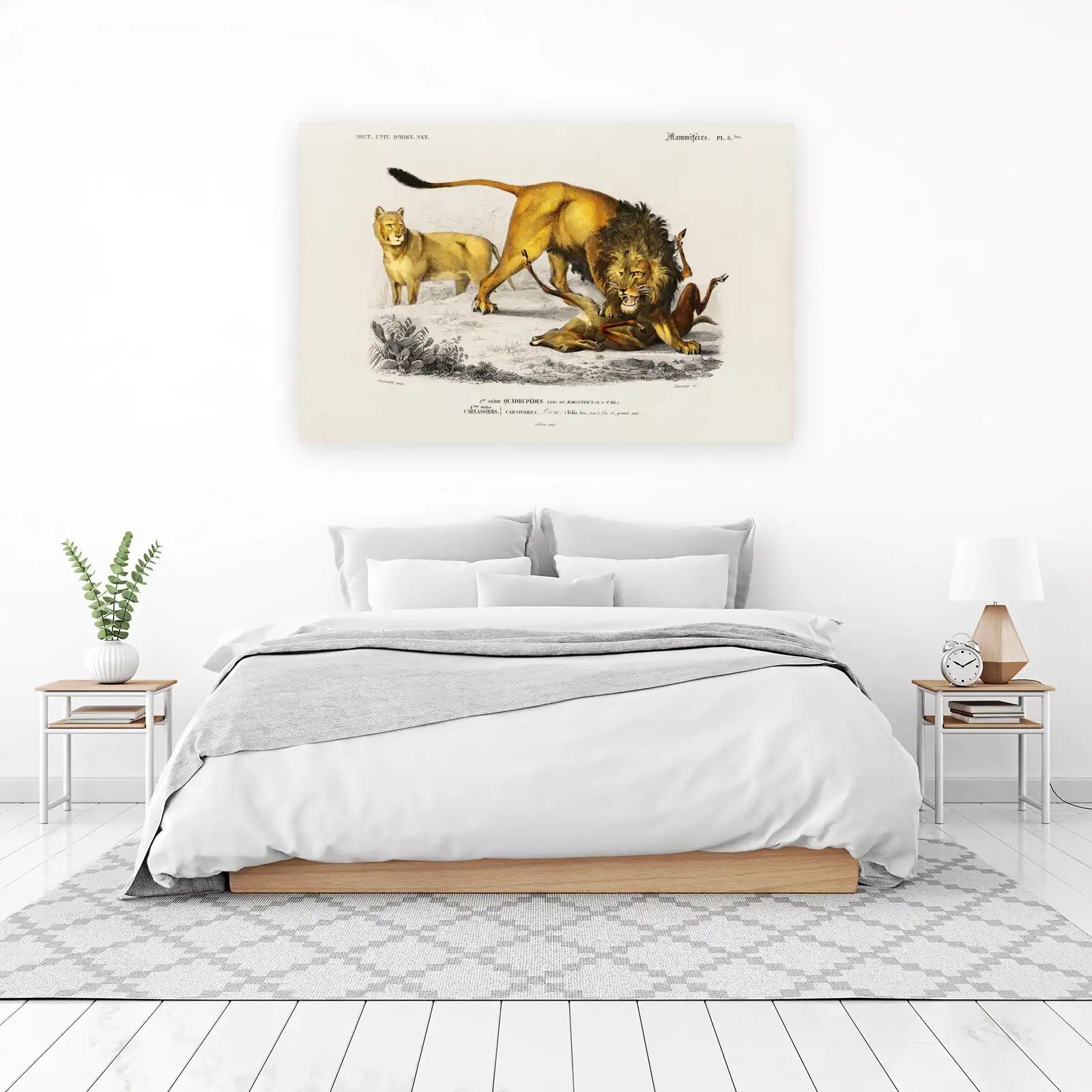 Majestic Lion Hunt Vintage Wildlife Wall Art