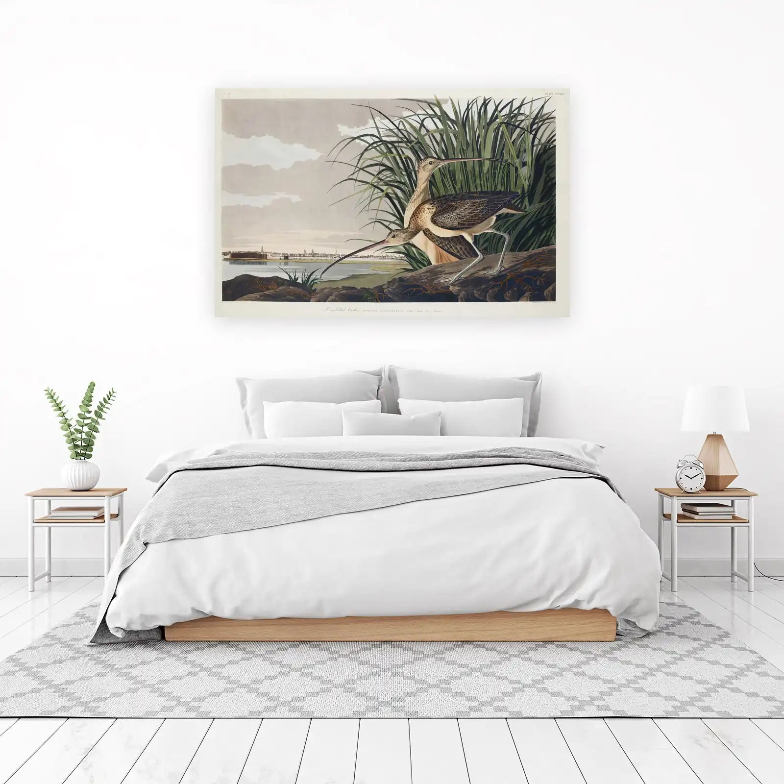 Elegant Long-billed Curlew Wildlife Wall Art