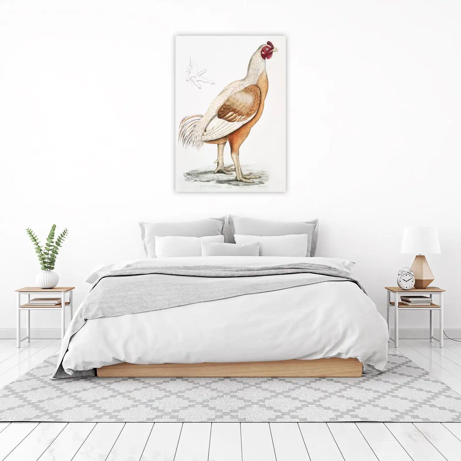 Vintage Malabar Cock Bird Art Wall Art