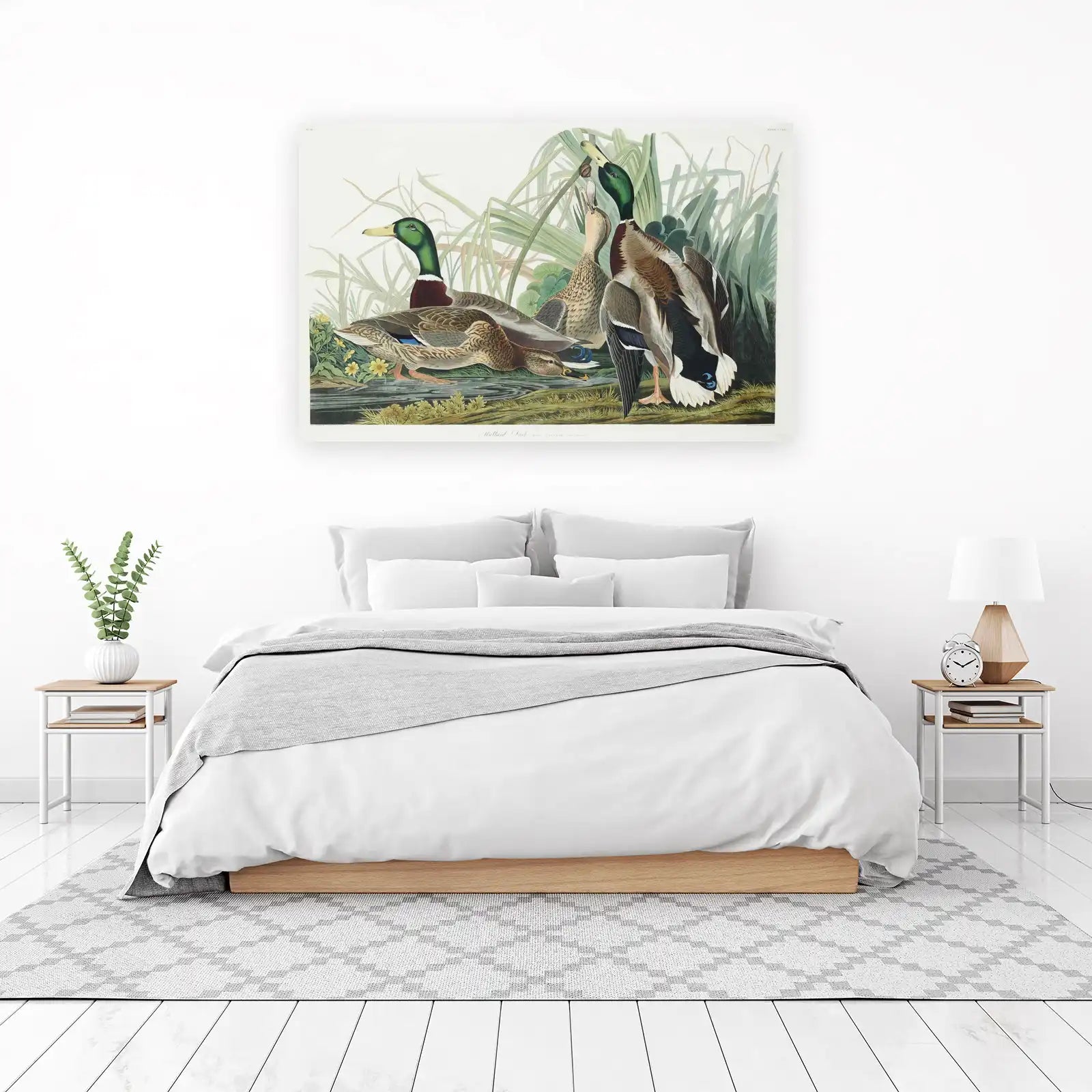 Mallard Duck Flock Nature Wall Art