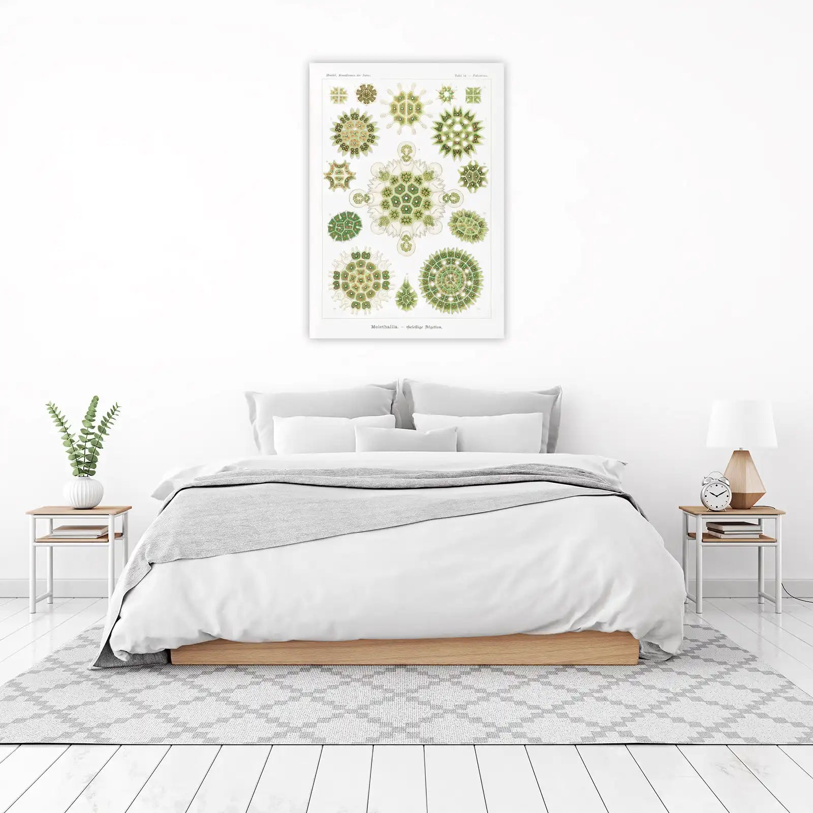 Vintage Algae Botanical Art Print