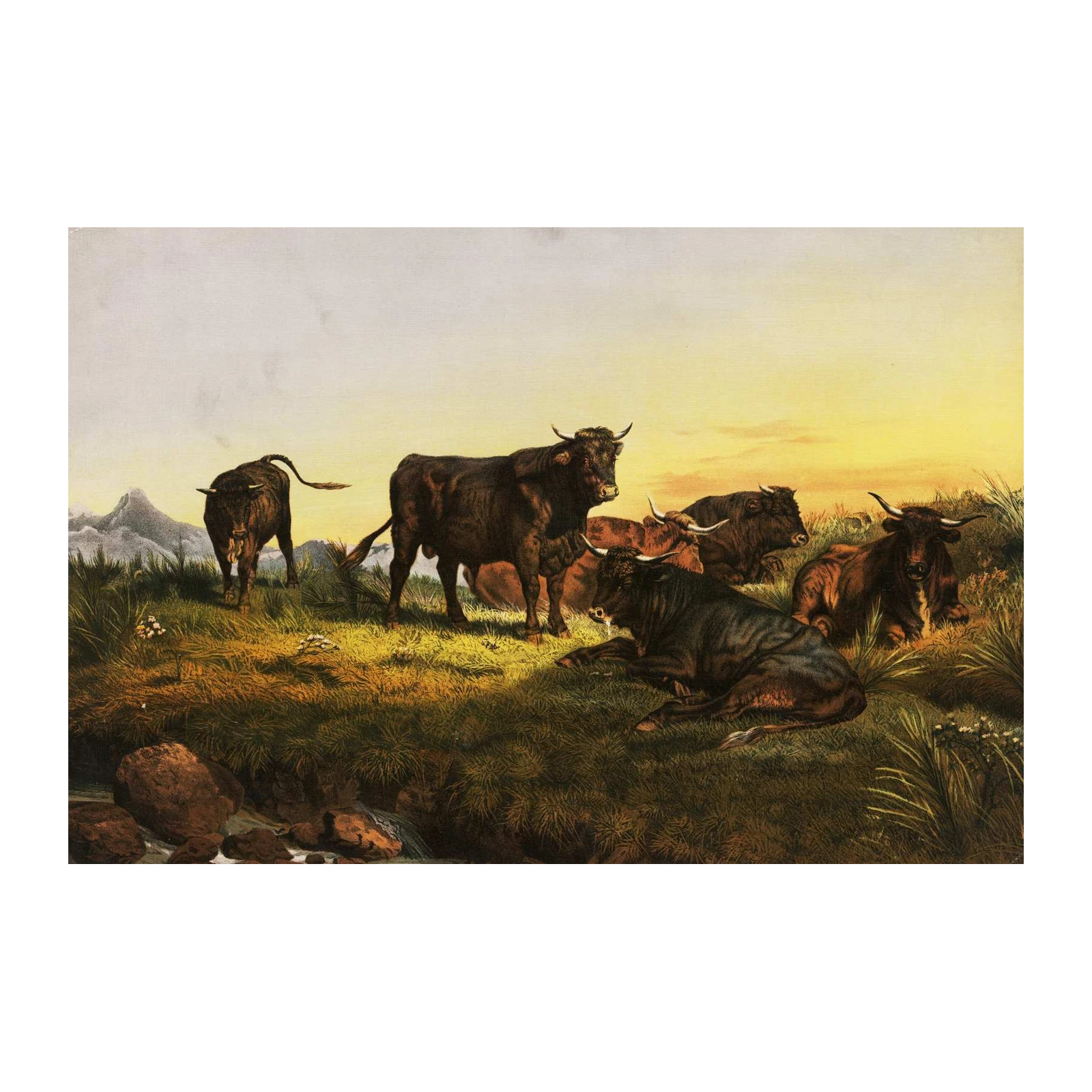 Majestic Bulls Serene Landscape Wall Art