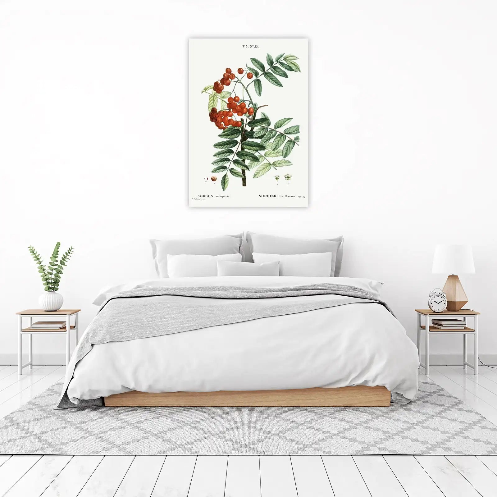 Vintage Sorbus Aucuparia Botanical Wall Art