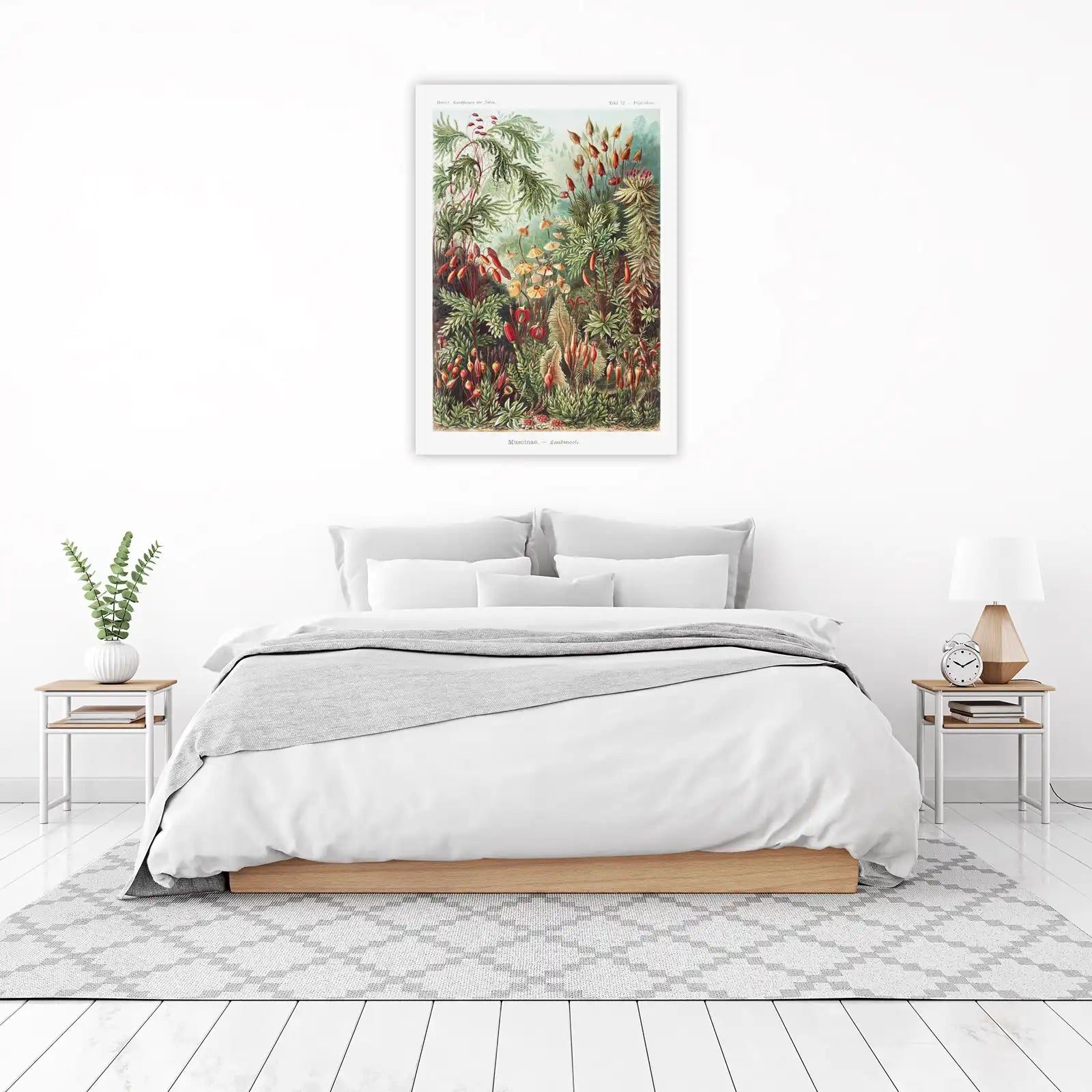 Vintage Botanical Moss Art Wall Art