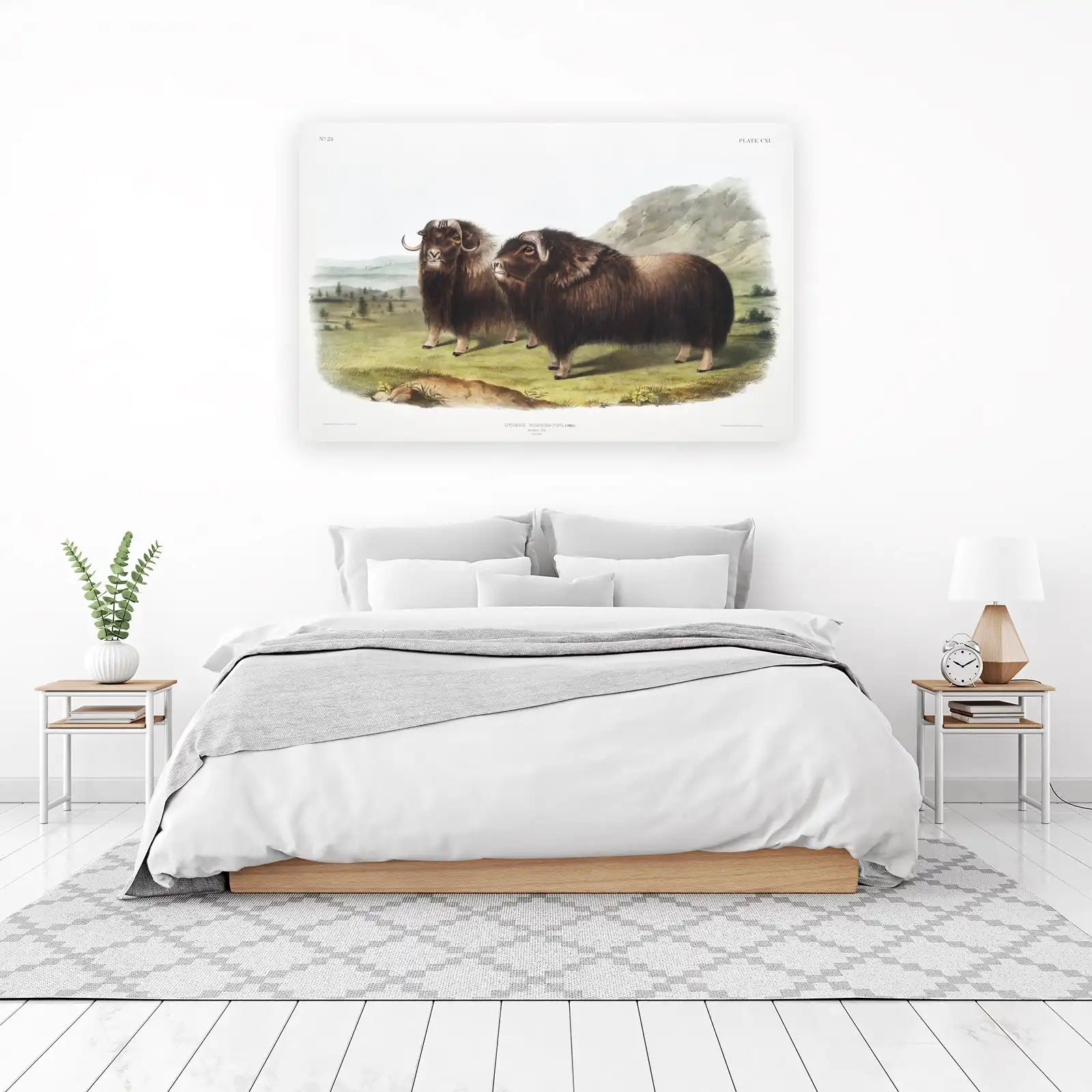 Majestic Musk Oxen Vintage Wildlife Art Wall Art