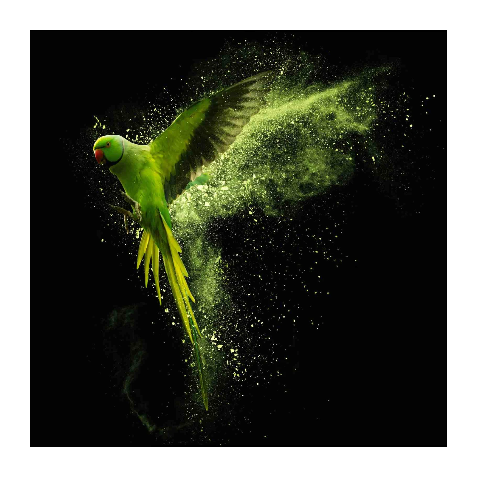 Vibrant Green Parrot Burst Wall Art