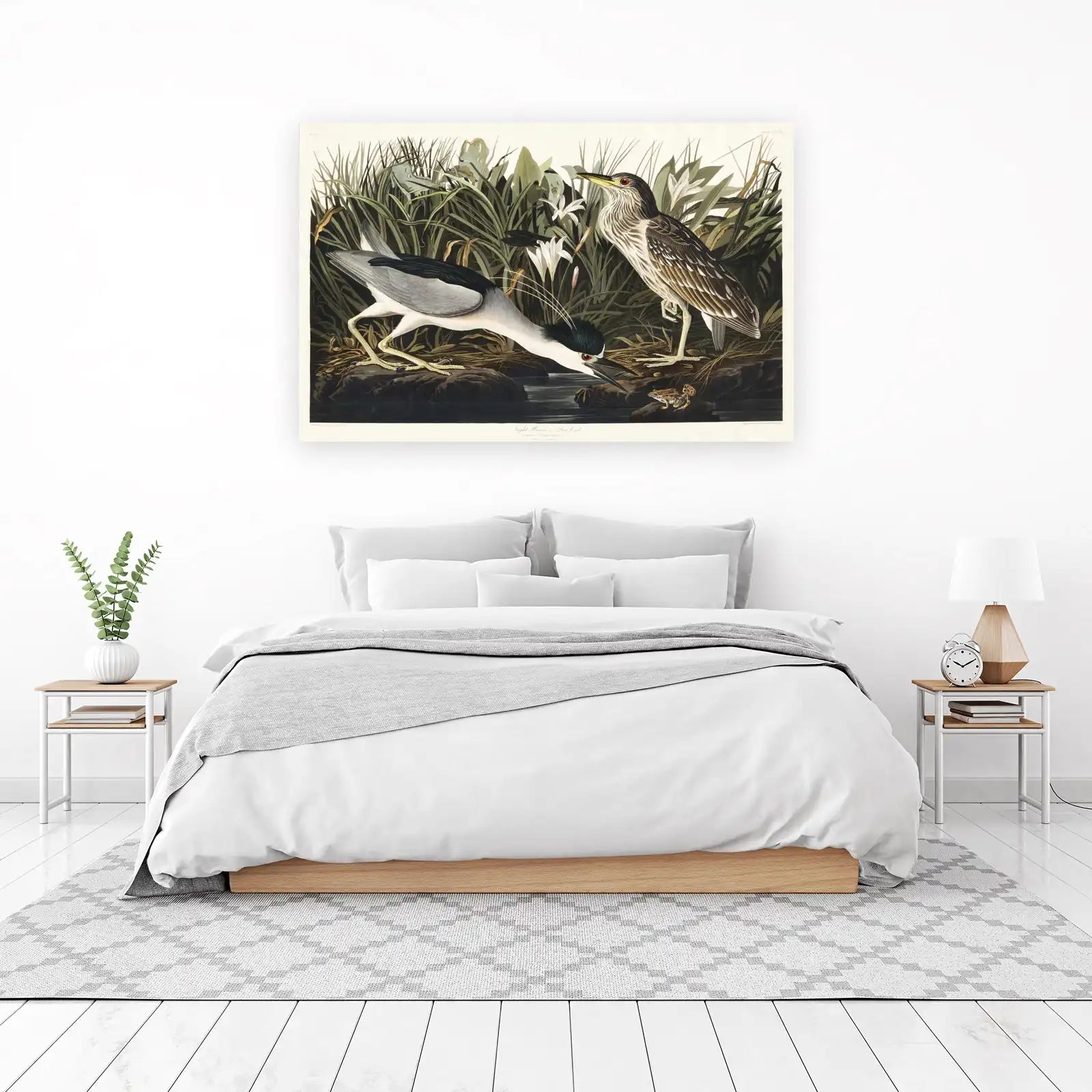 Night Heron Vintage Bird Art Wall Art