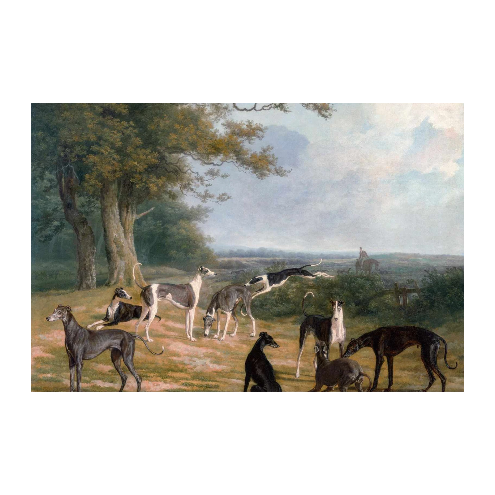 Elegant Greyhounds in Landscape Wall Art