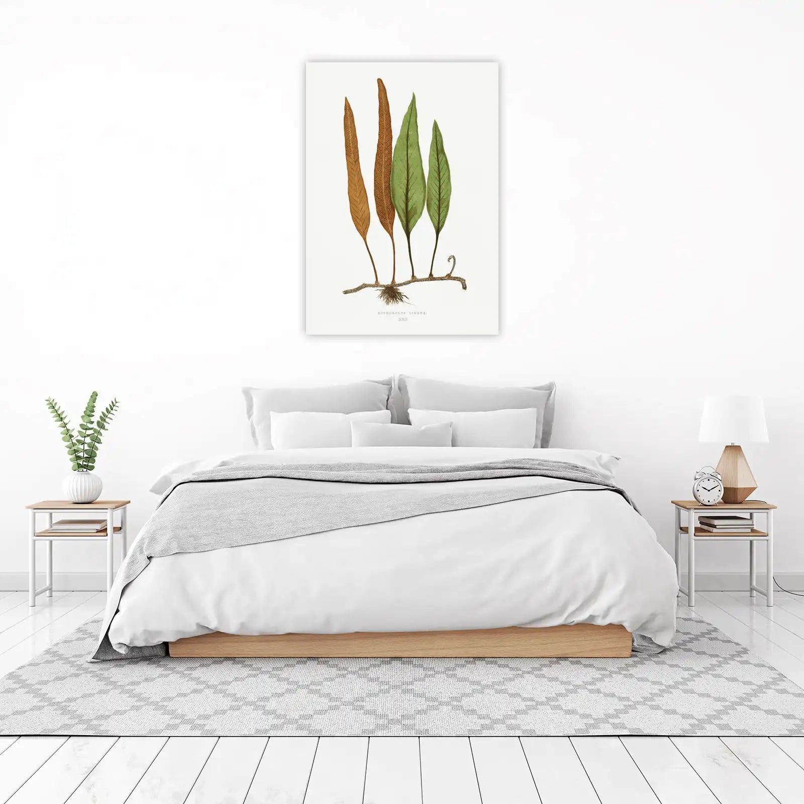 Vintage Fern Botanical Art Wall Art