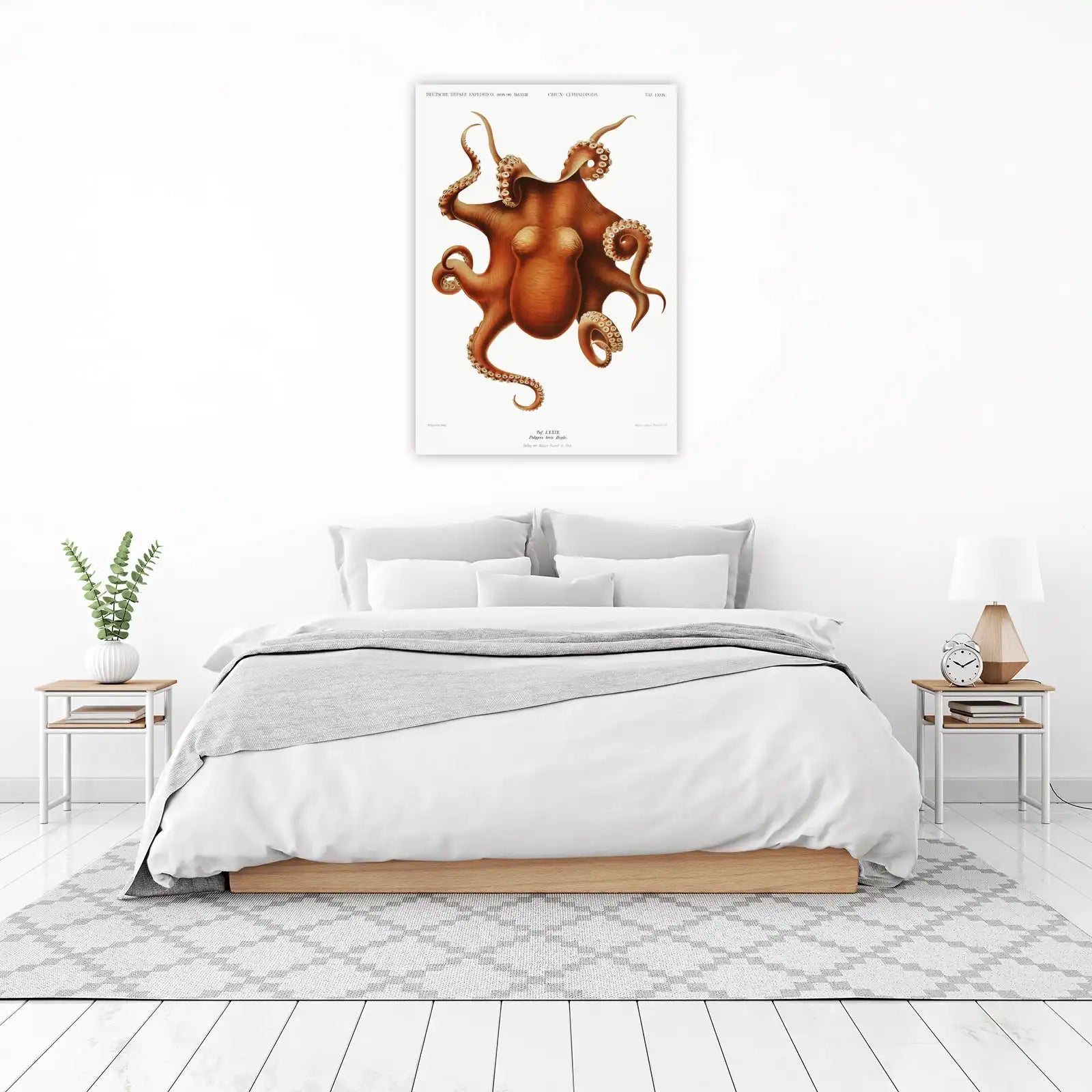 Vintage Octopus Wall Art | Marine Life Wall Art