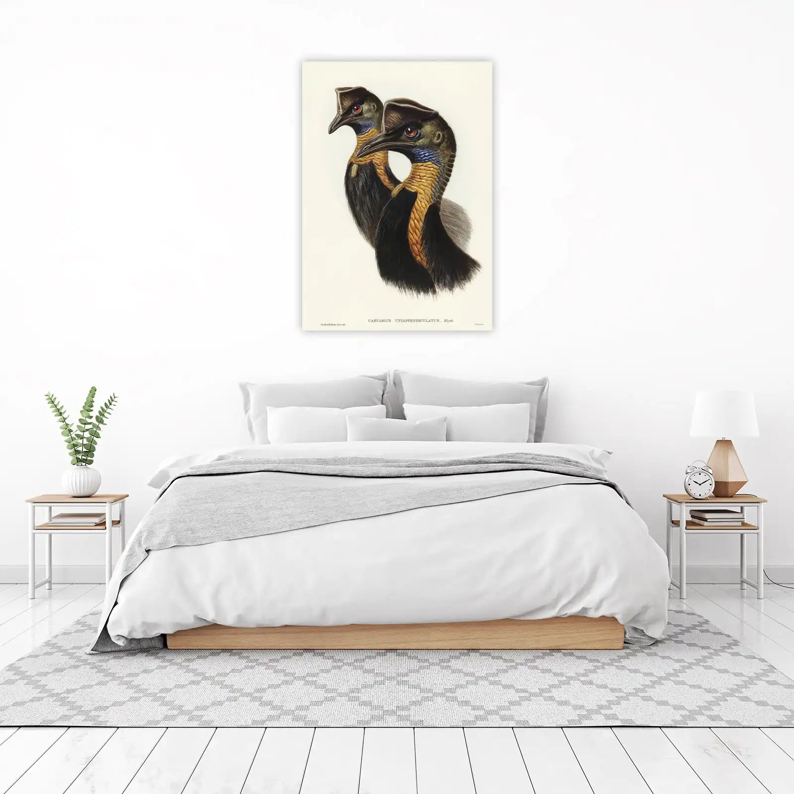 Exotic Cassowary Duo Vintage Bird Art Wall Art