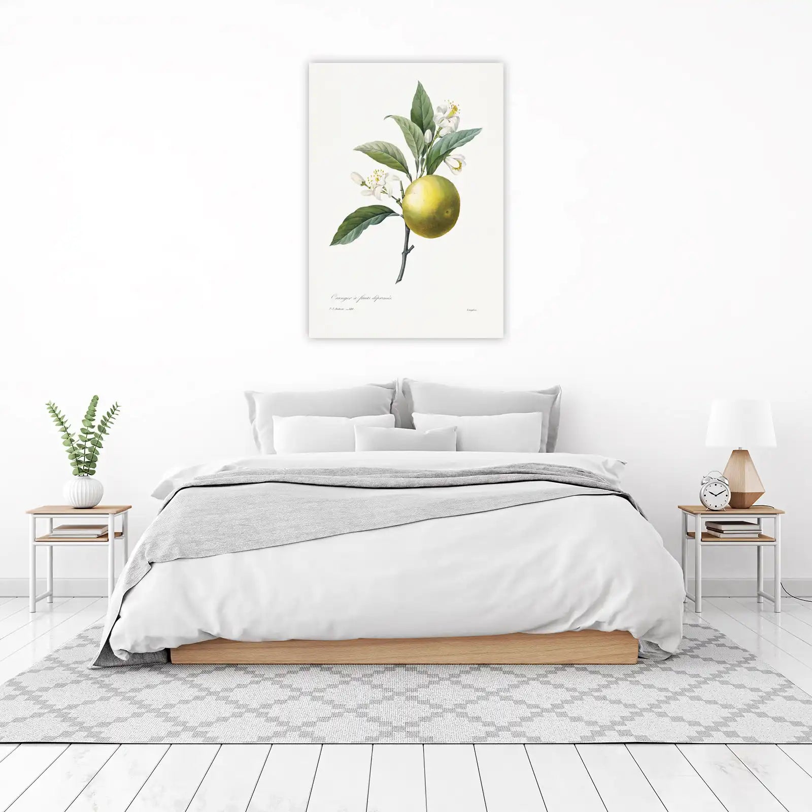 Vintage Orange Blossom & Fruit Wall Art