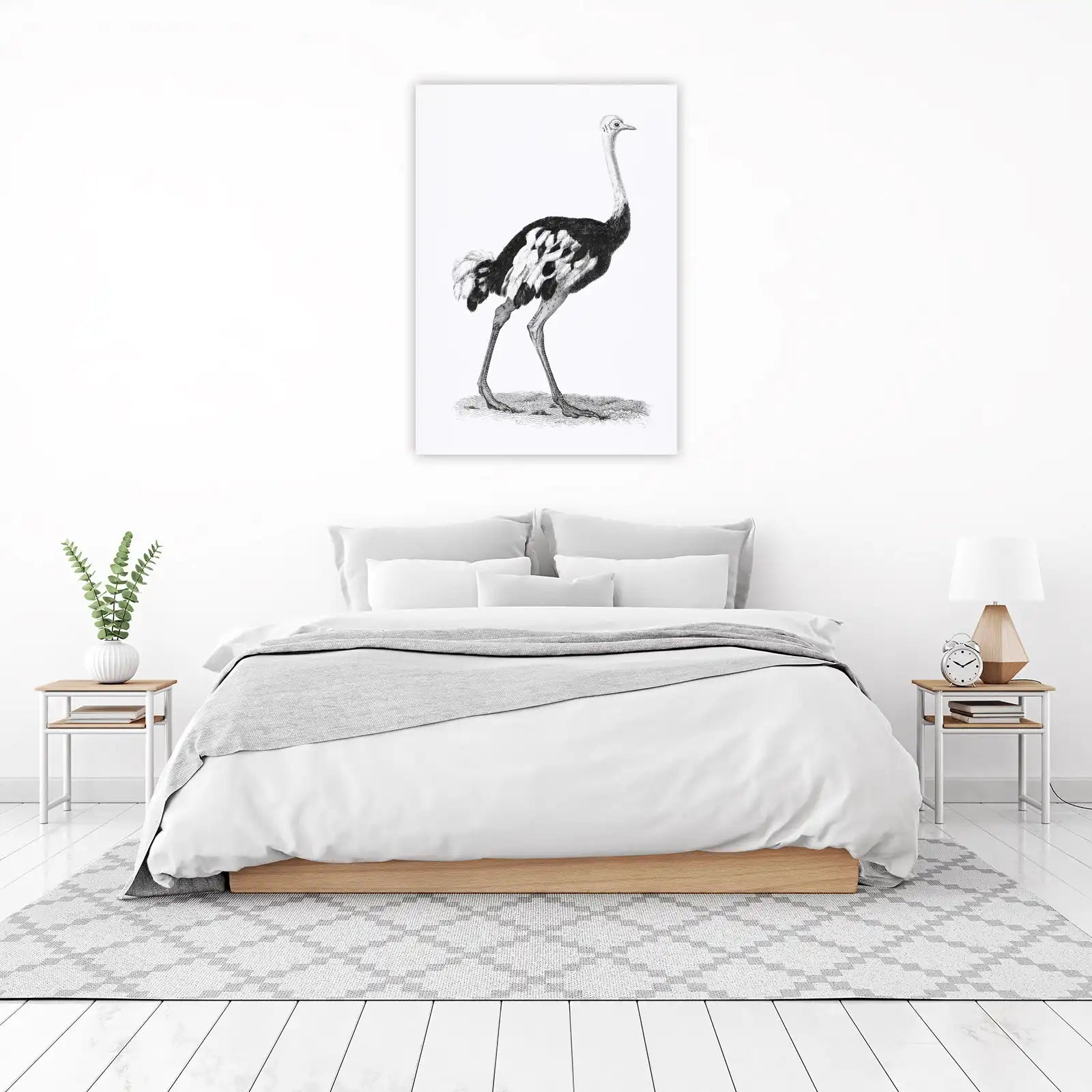 Elegant Ostrich Vintage Sketch Wall Art