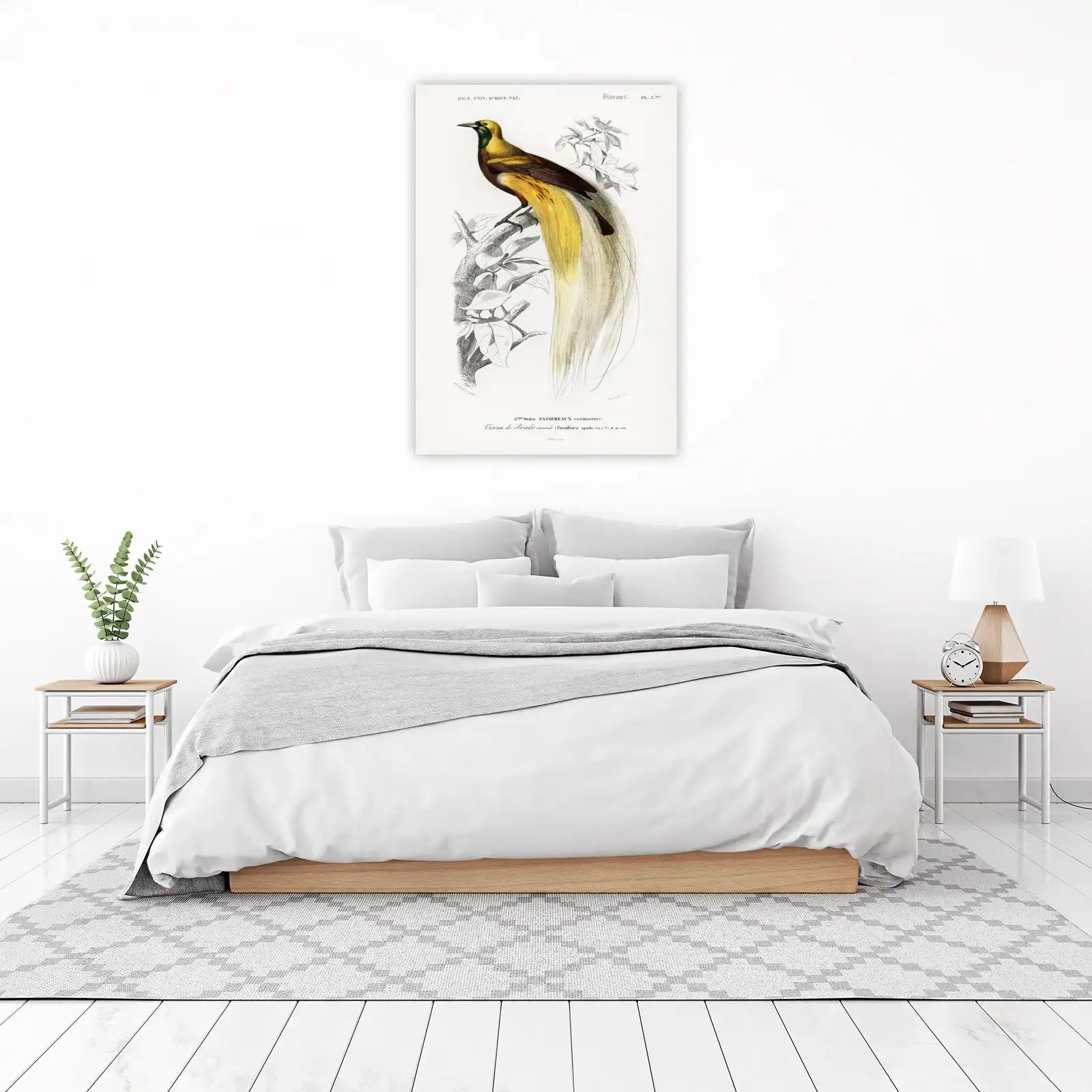 Vintage Bird of Paradise Wall Art