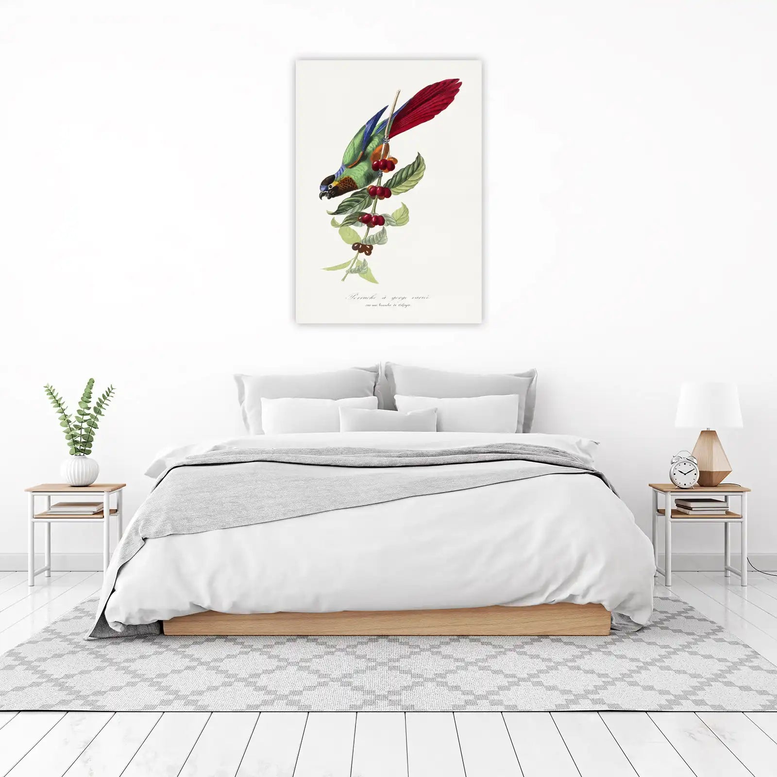 Vibrant Parrot & Coffee Branch Wall Art