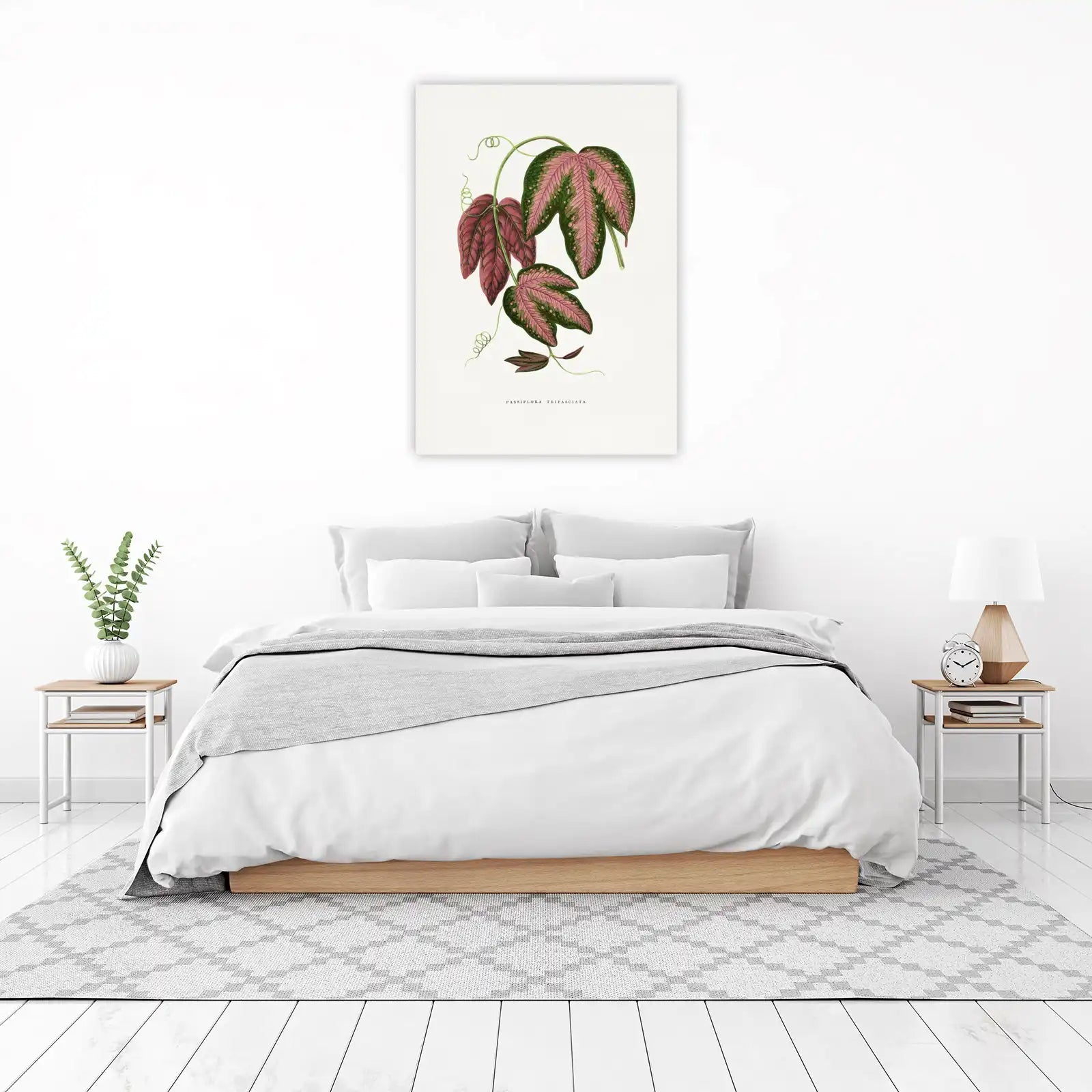 Vintage Passiflora Trifasciata Leaf Wall Art