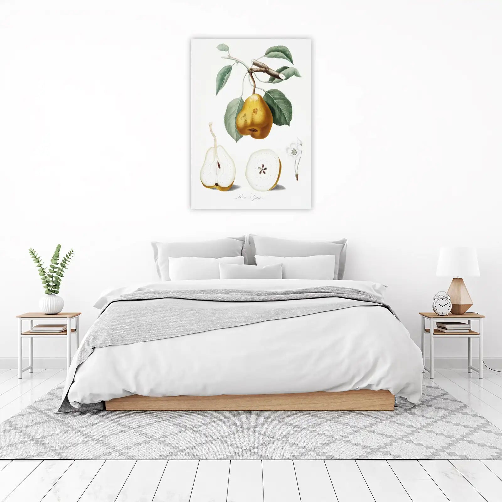 Vintage Pear Botanical Illustration Wall Art