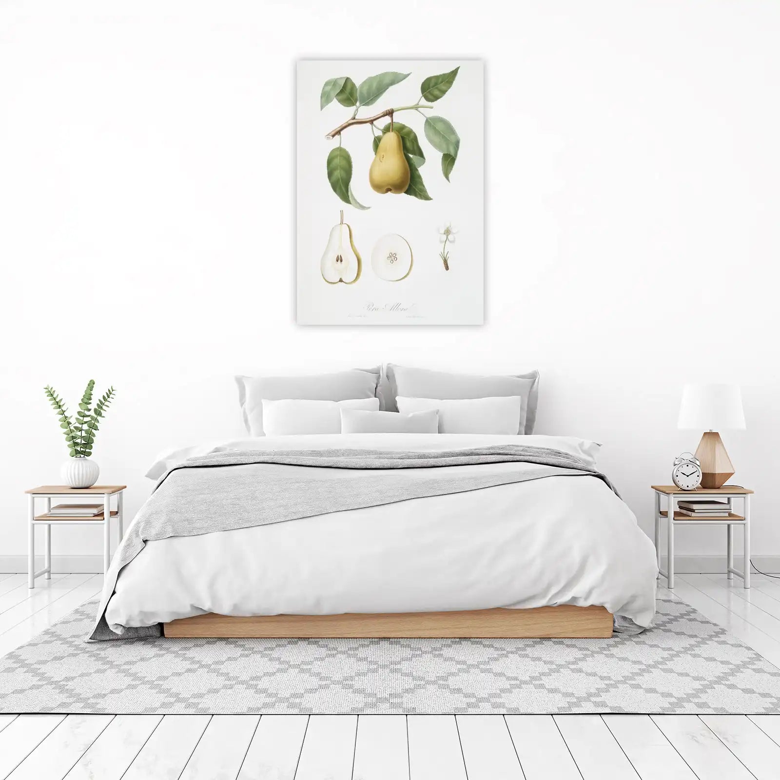 Vintage Pear Botanical Art Wall Art