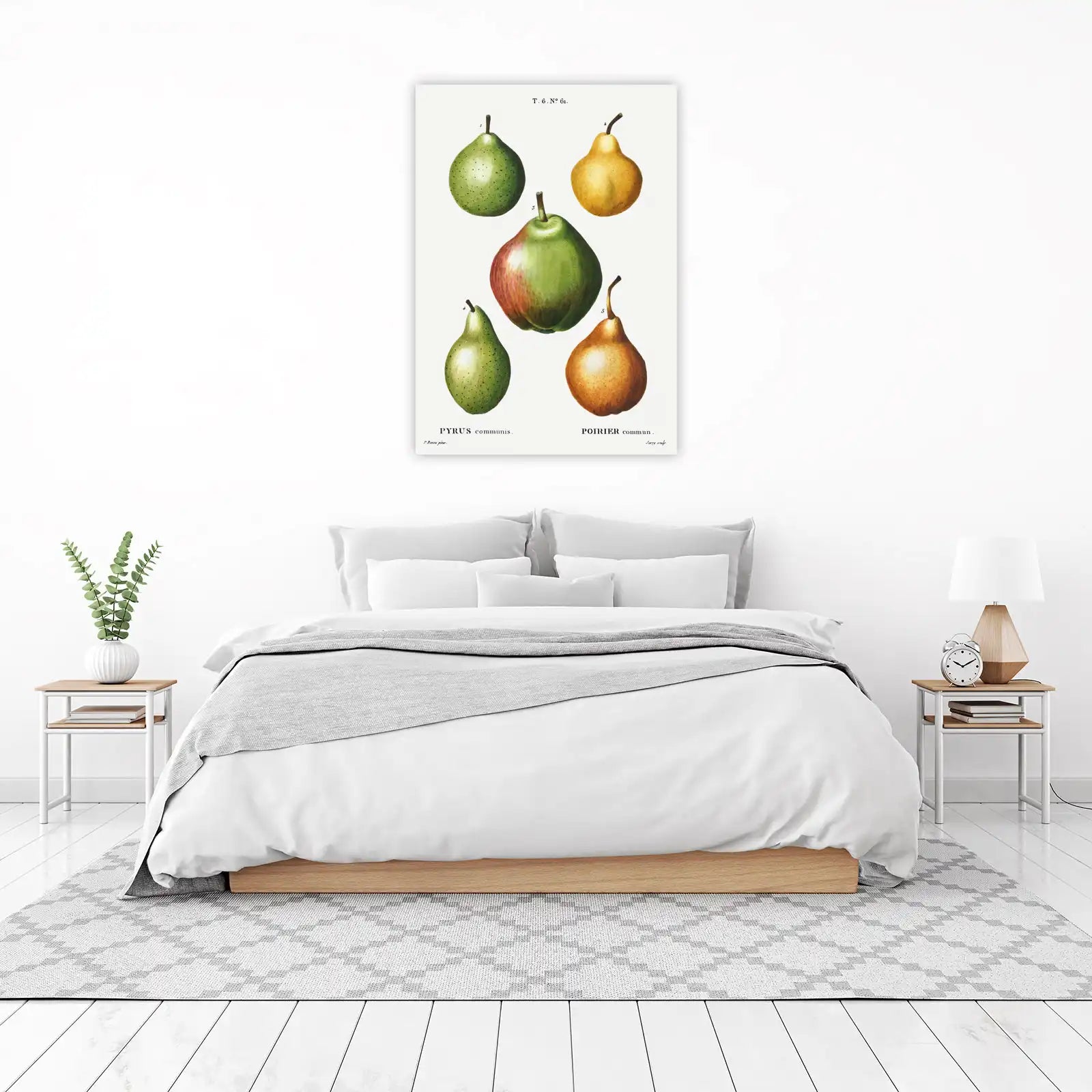 Vintage Pear Botanical Art Wall Art