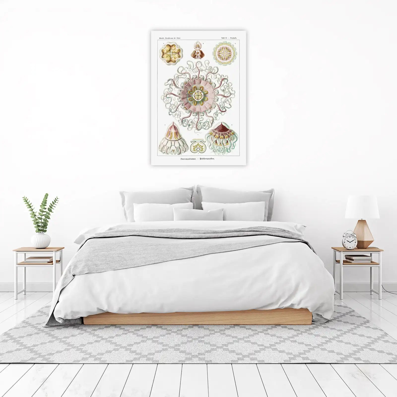 Vintage Jellyfish Botanical Art Wall Art