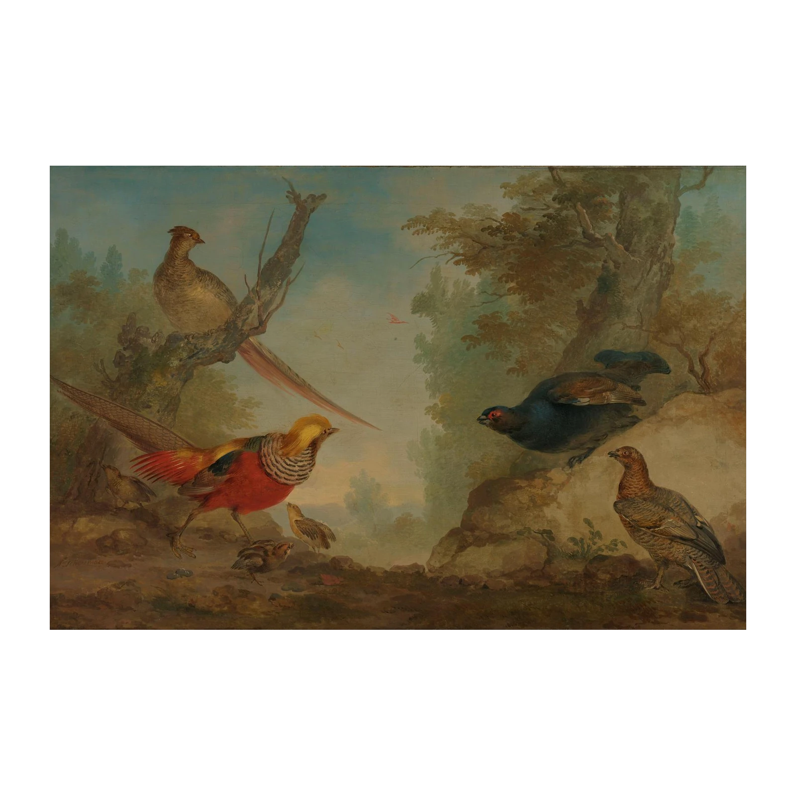 Golden Pheasant Nature Scene Wall Art