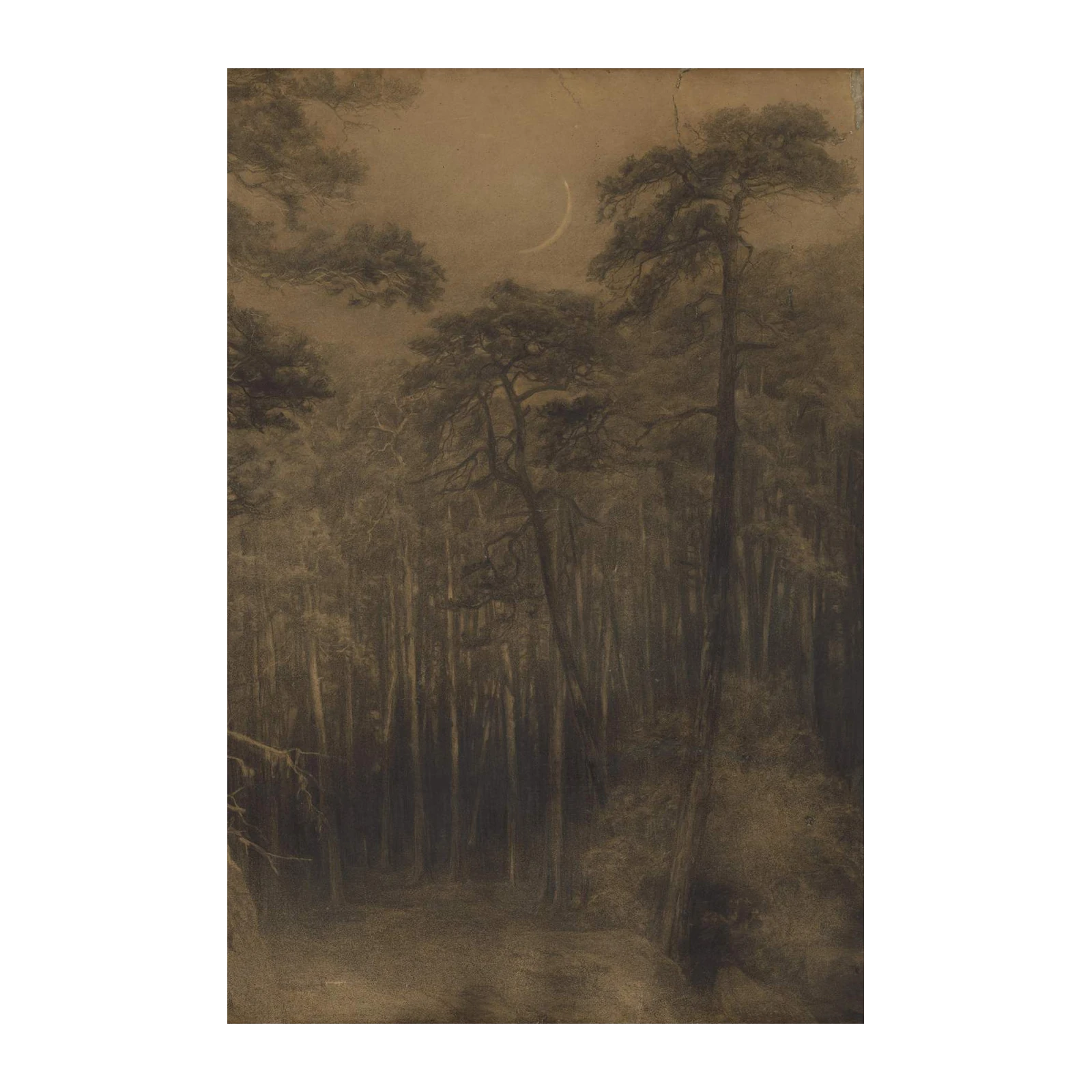 Mystical Moonlit Forest Landscape Wall Art