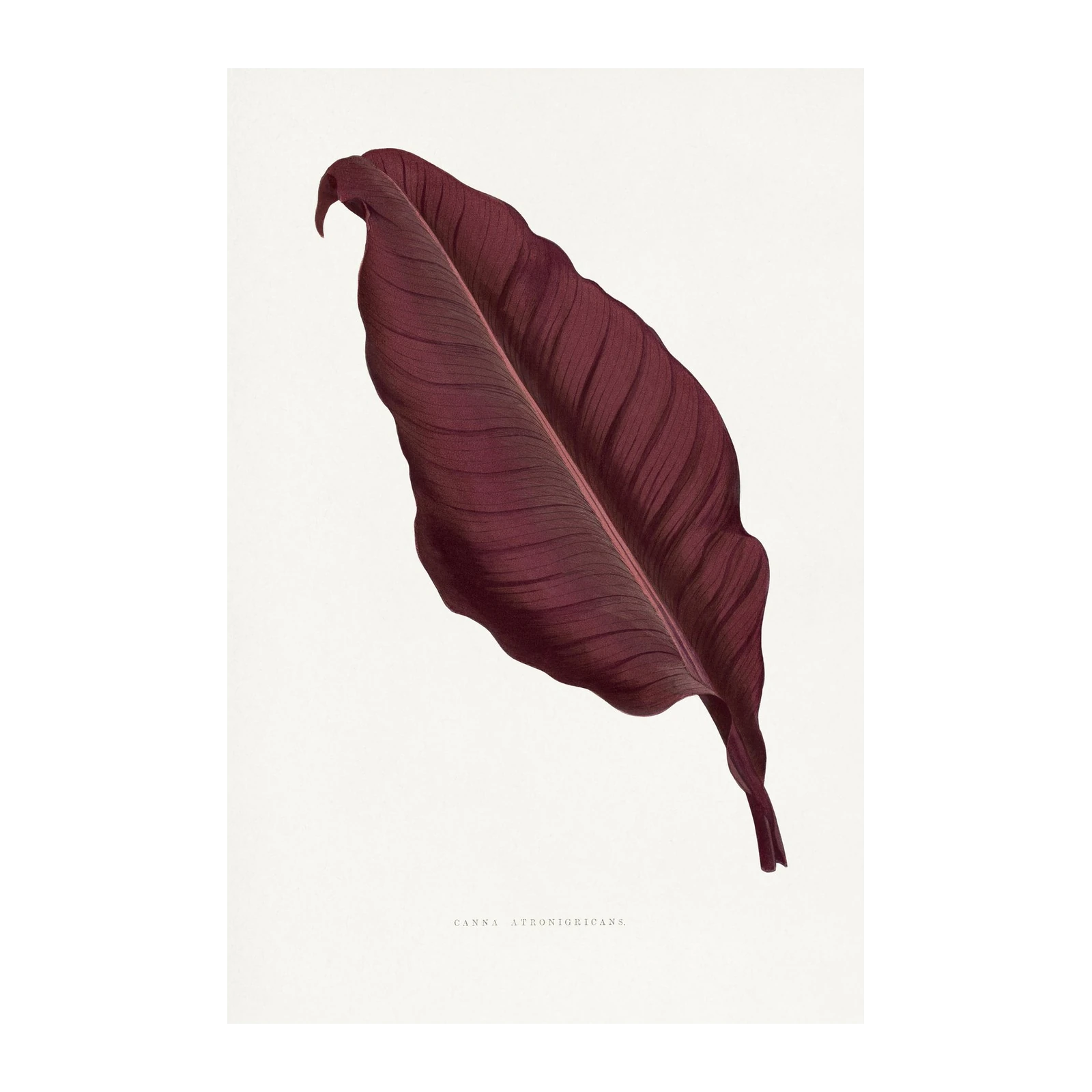 Elegant Burgundy Leaf Botanical Wall Art