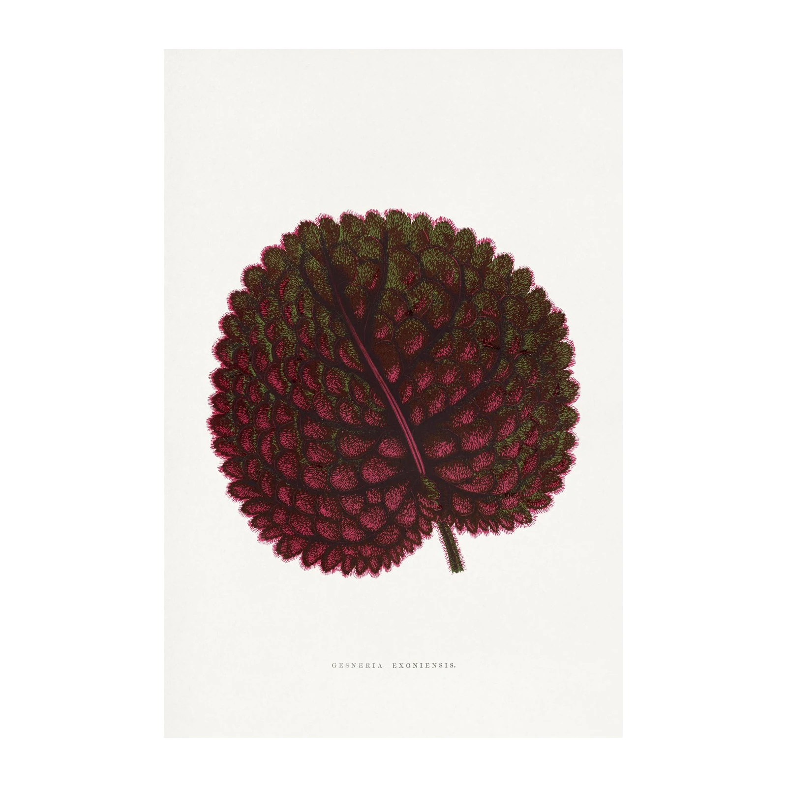 Vintage Botanical Leaf Art Wall Art
