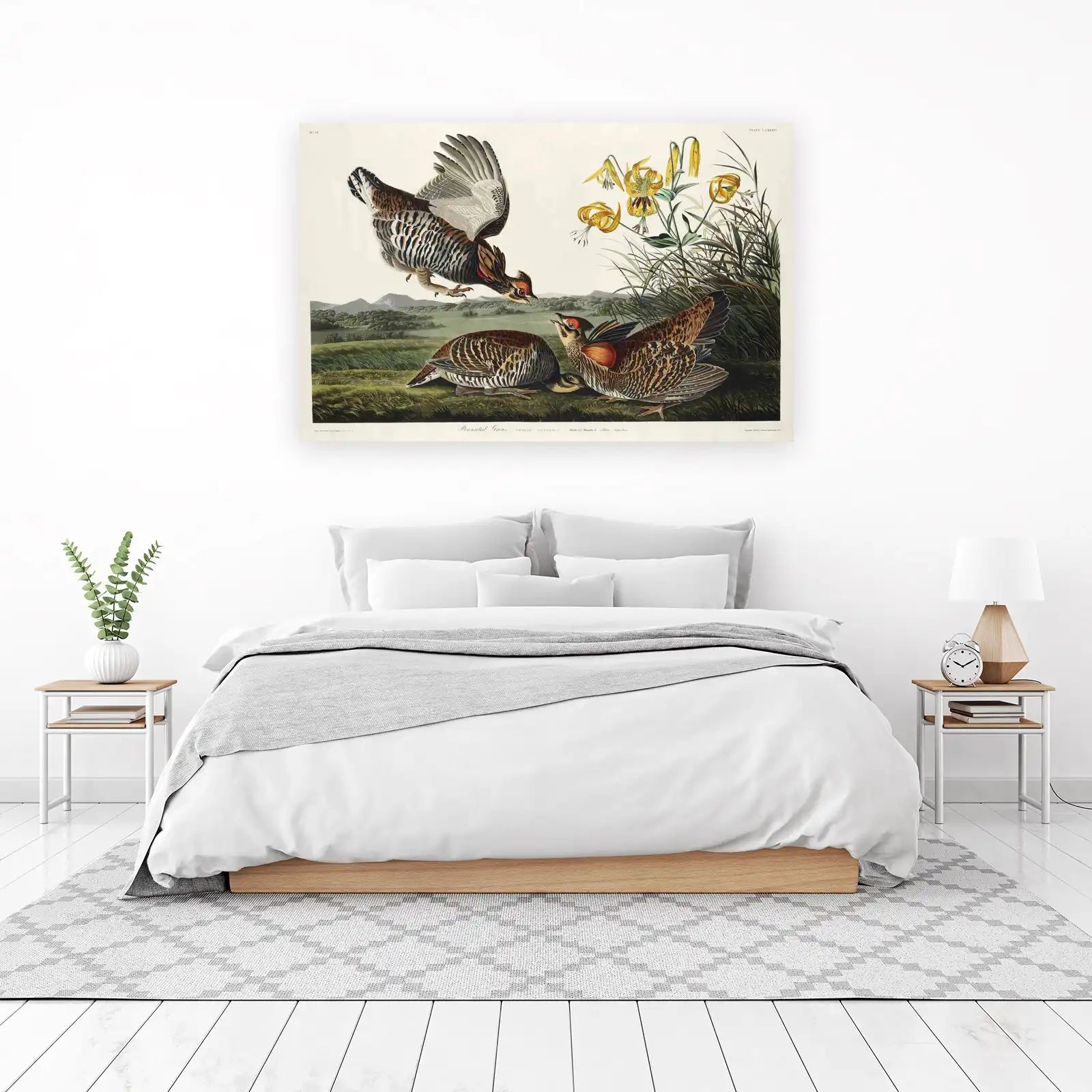 Pinnated Grouse Ornithology Vintage Wall Art
