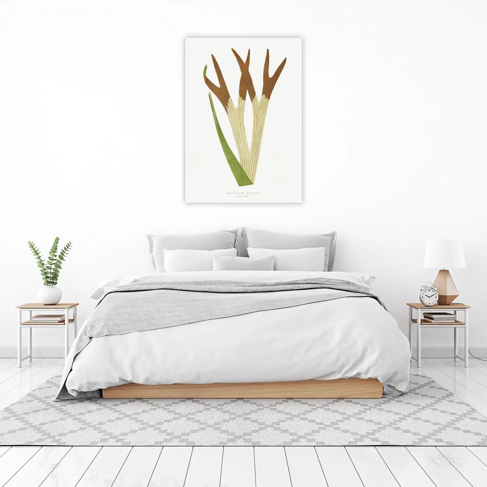 Vintage Staghorn Fern Botanical Art Wall Art
