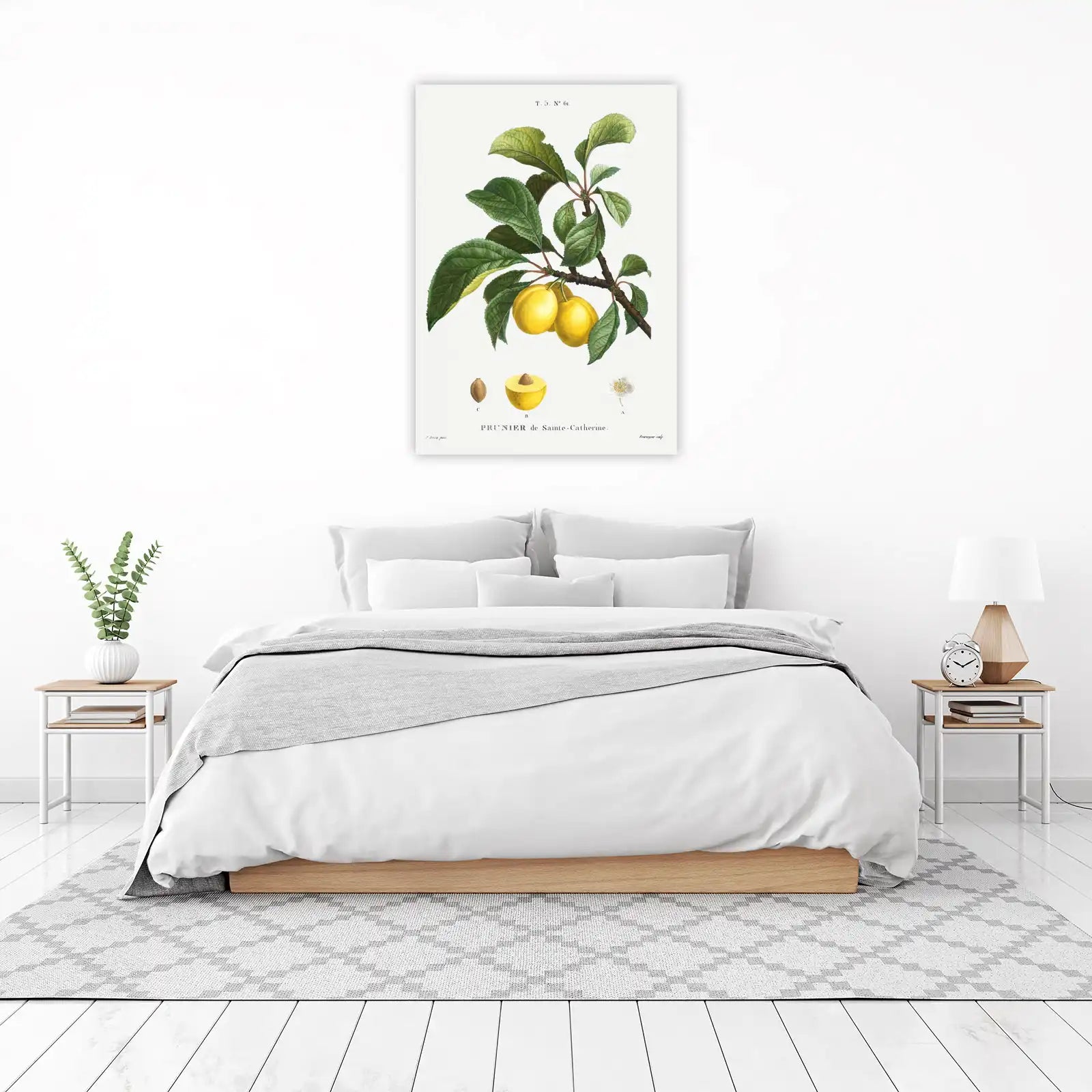 Vintage Botanical Plum Prunier de Sainte-Catherine Wall Art