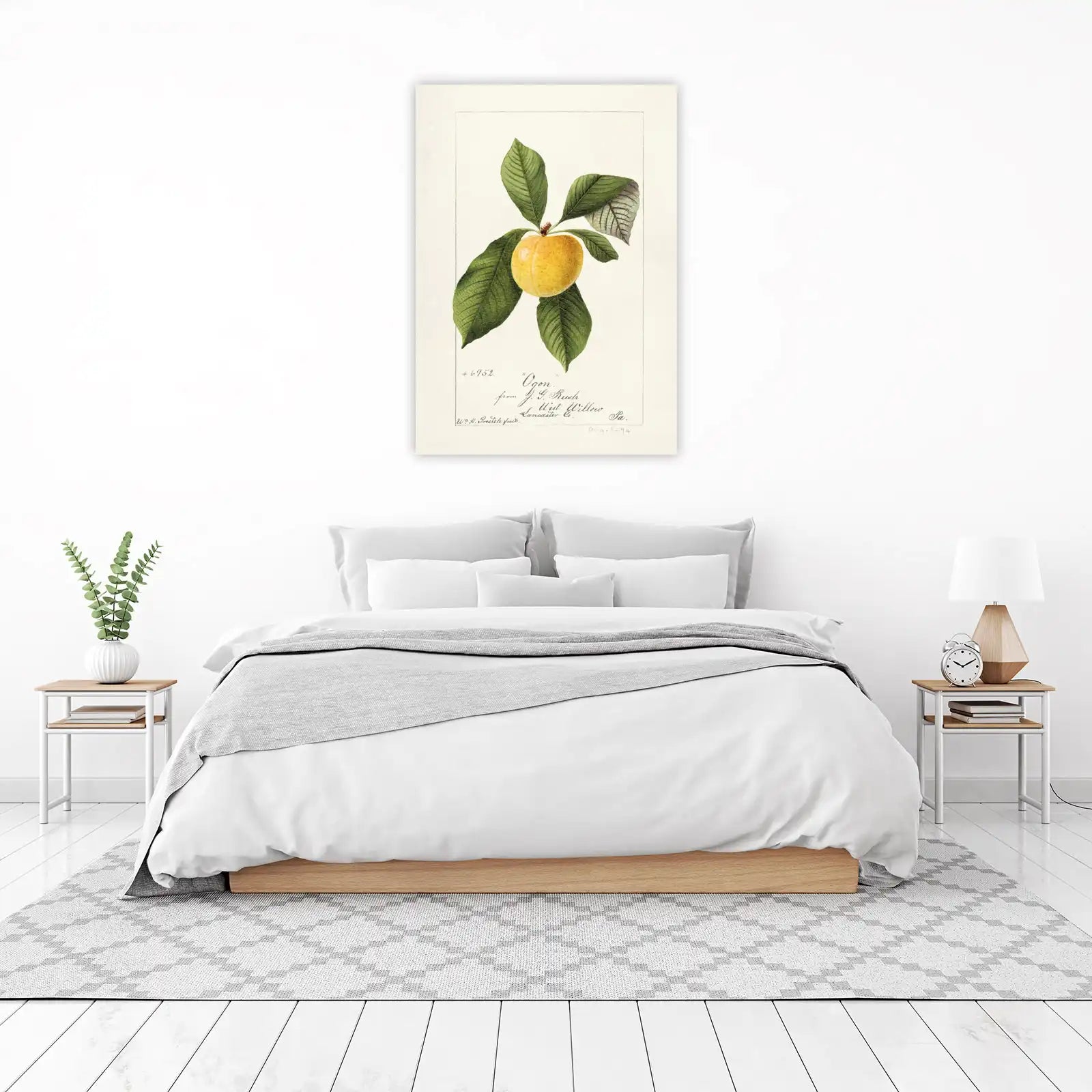 Vintage Yellow Plum Botanical Art Wall Art