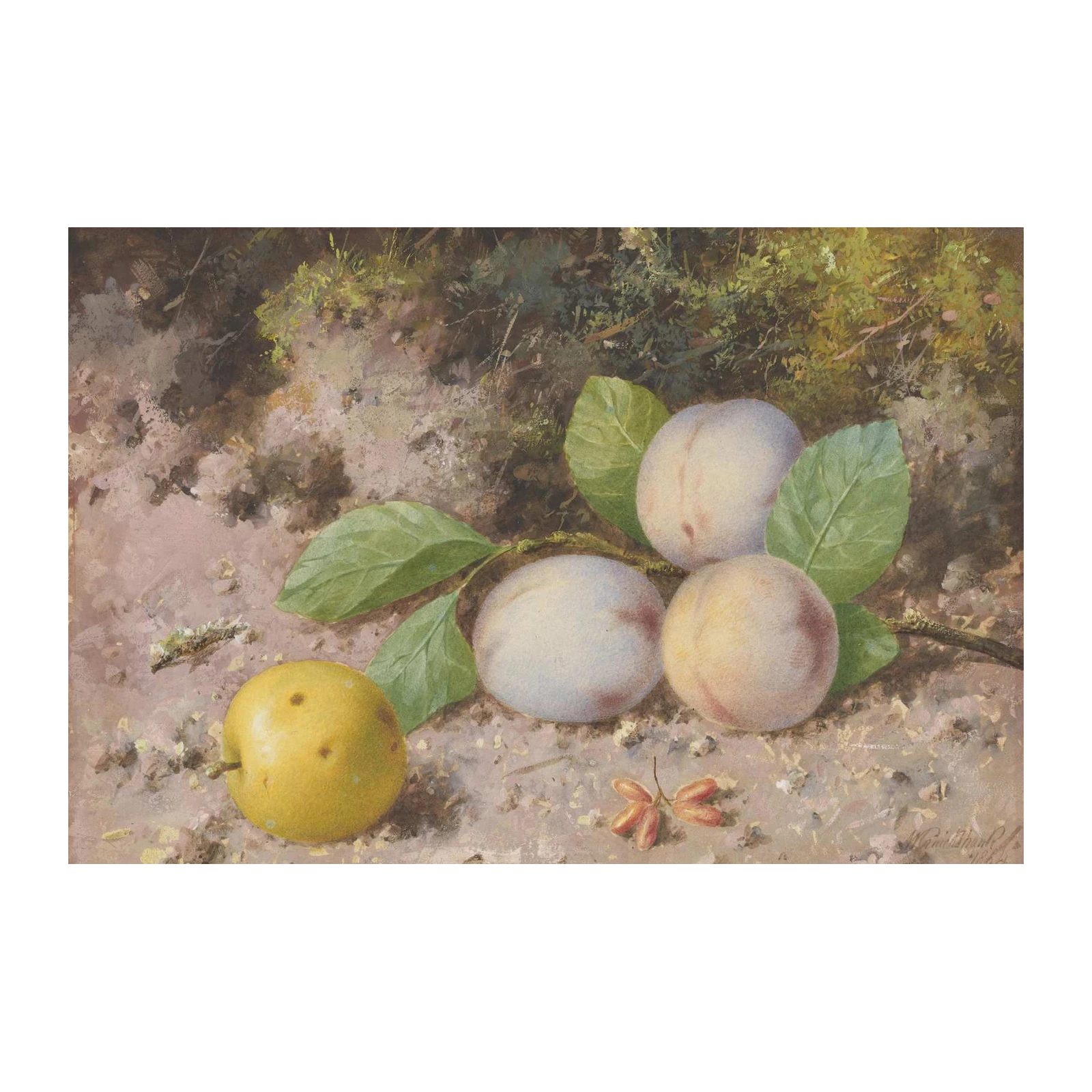 Still Life Fruits on Earth Wall Art