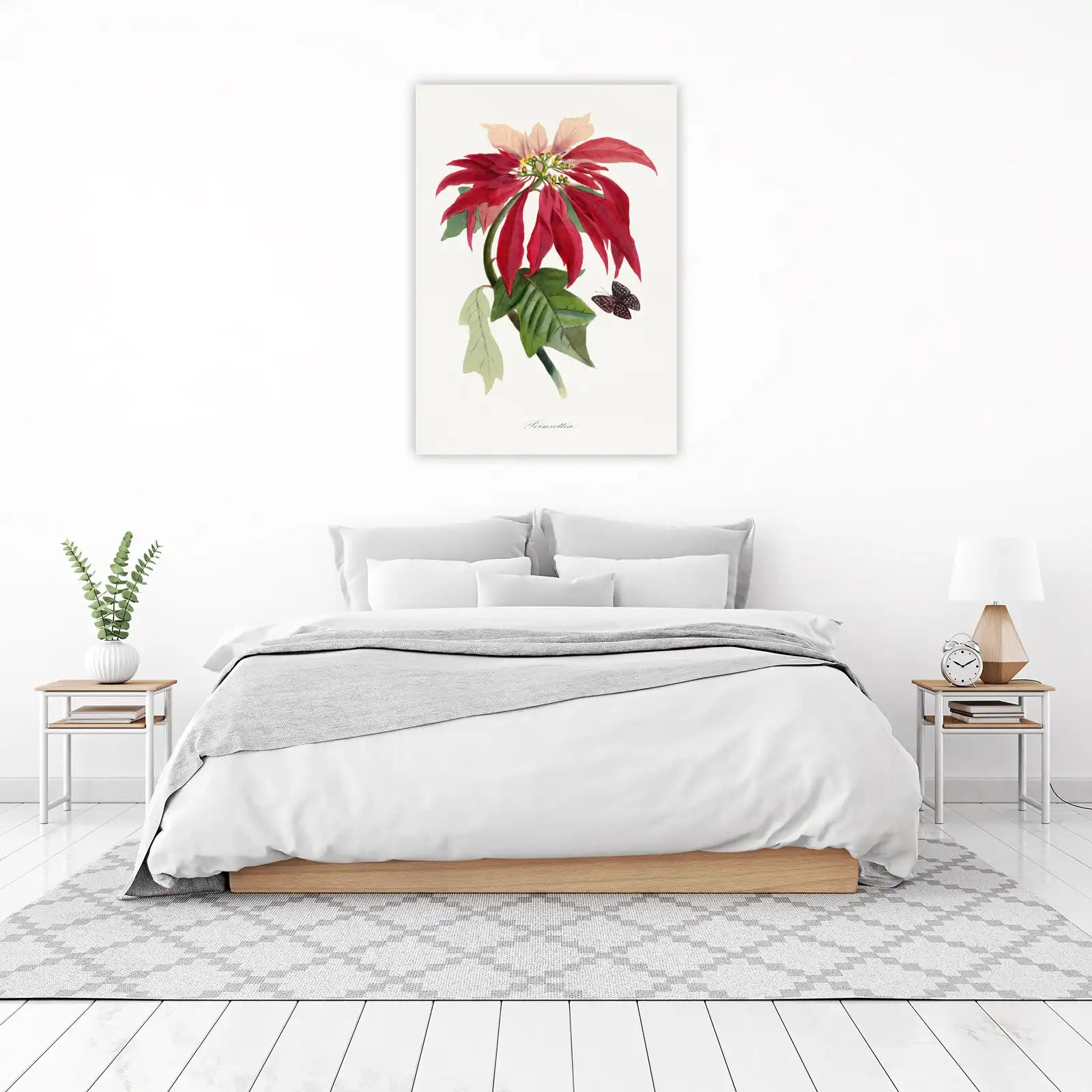 Vintage Poinsettia Botanical Wall Art Wall Art