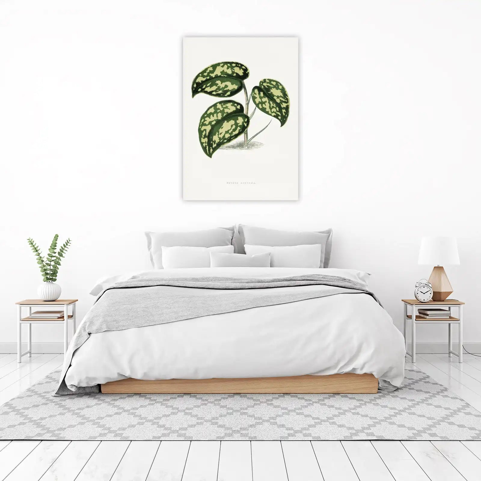 Vintage Pothos Argyrea Botanical Wall Art